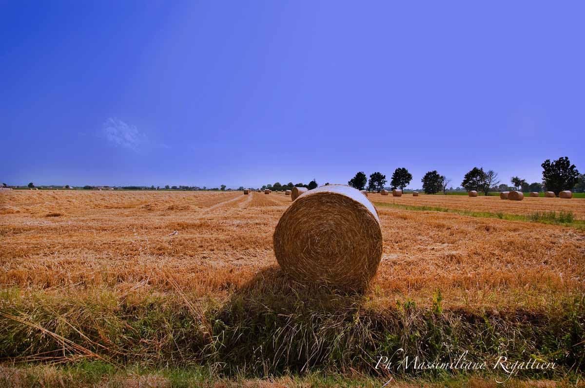 Impressionist campaign