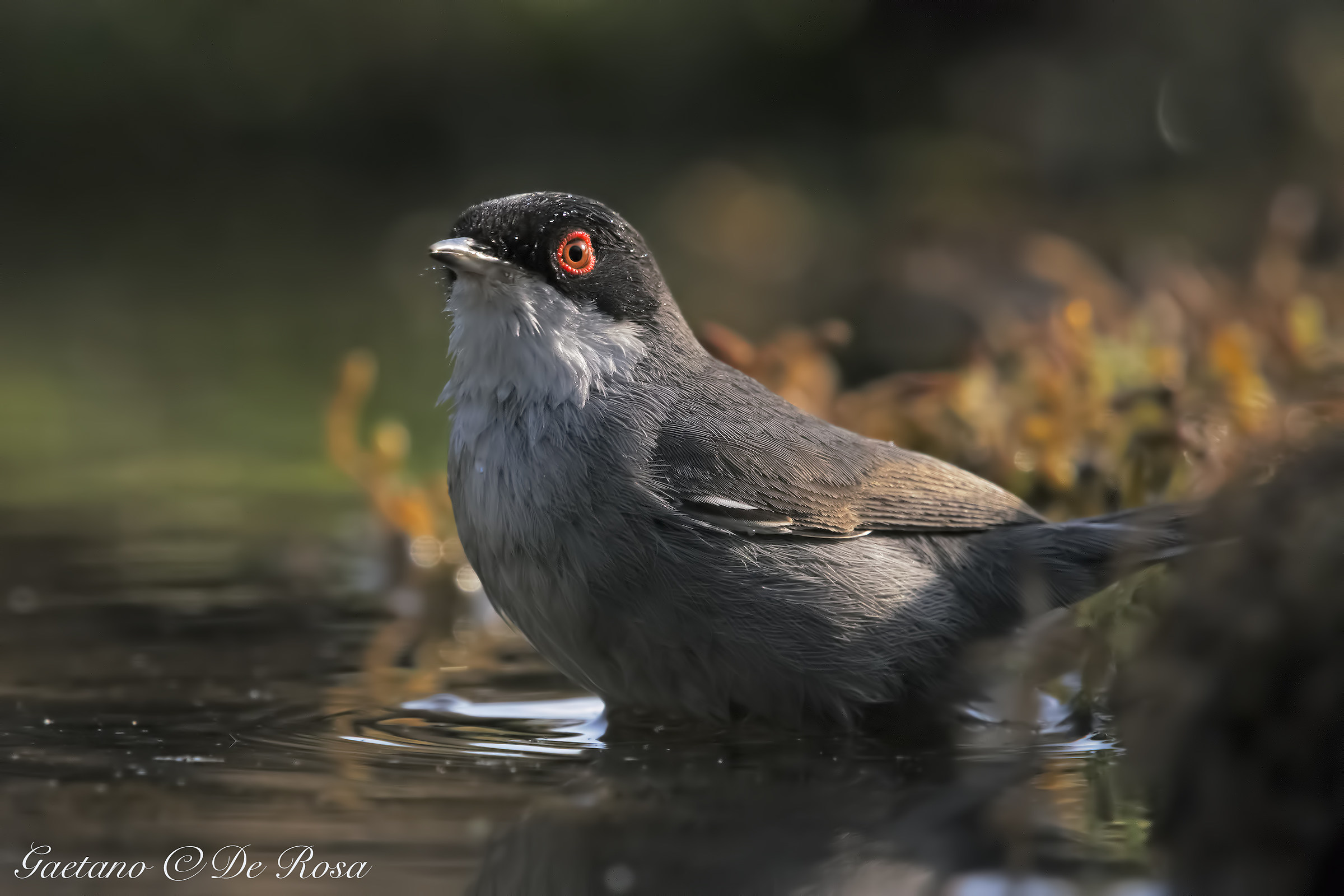 winking to the bathroom