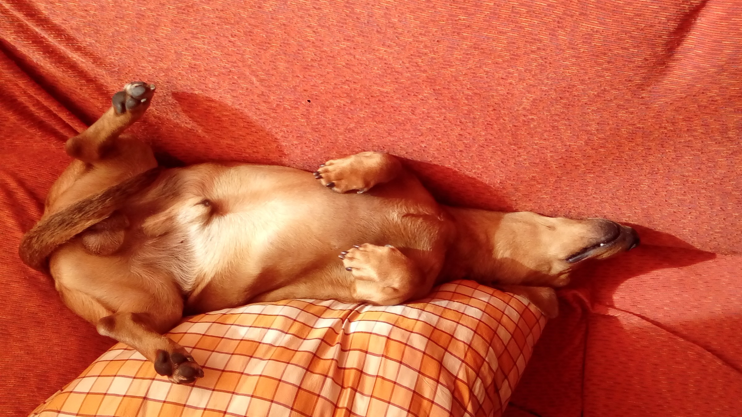 zzzzzzzzzzzzzzzzzzz 1