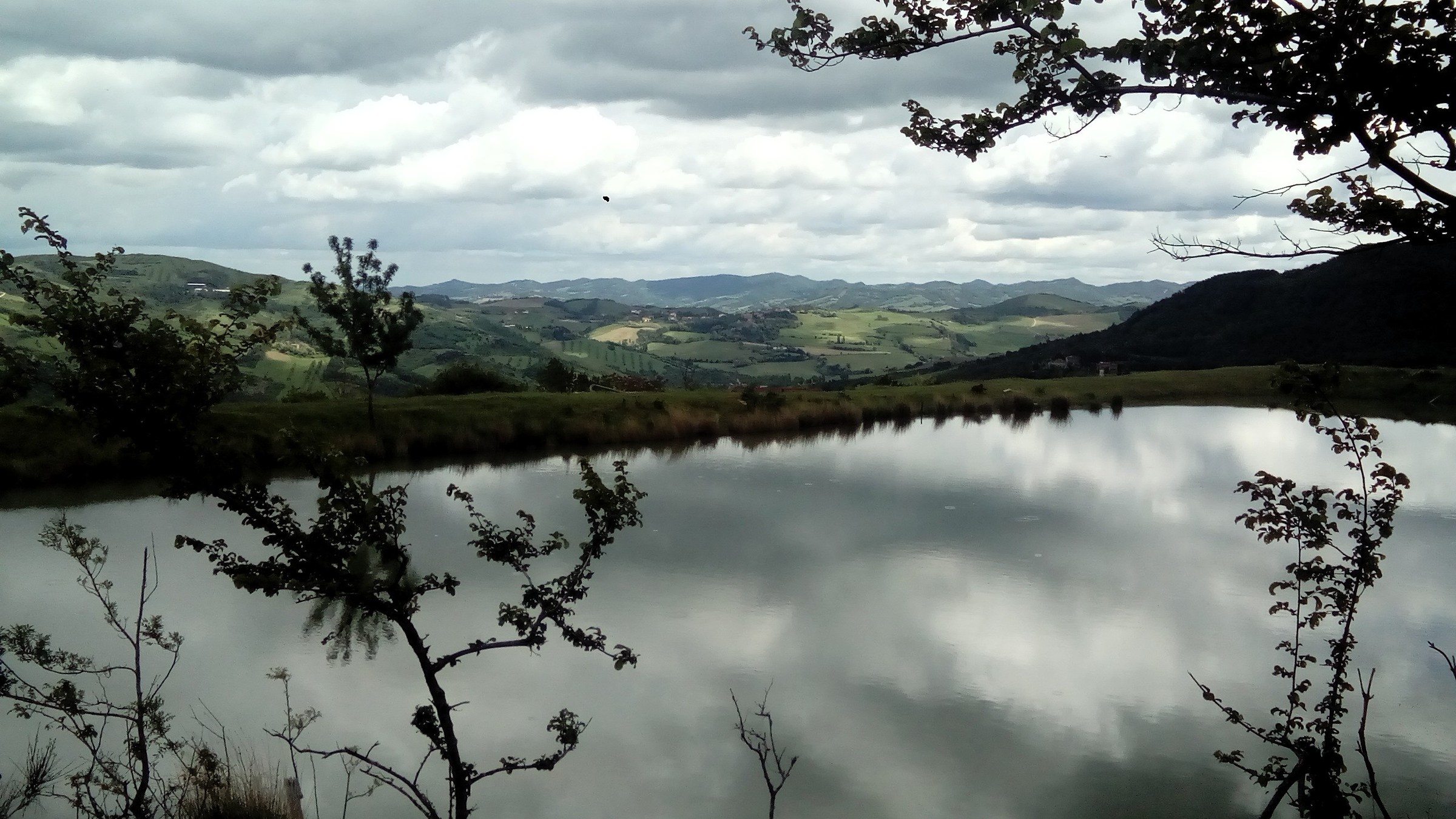 time immemorial reflexes