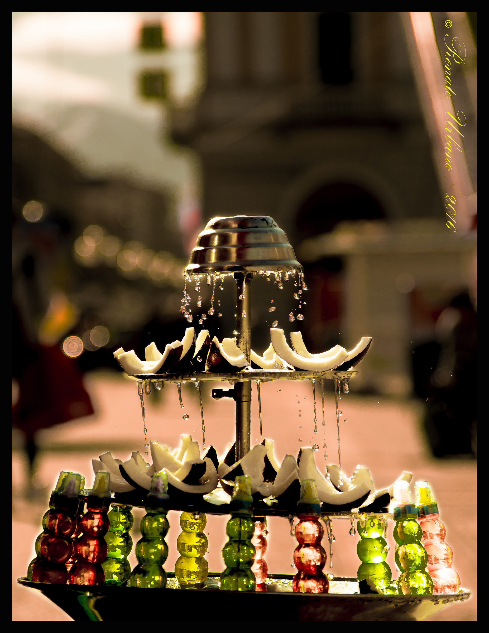 Beautiful coconut coconut ...