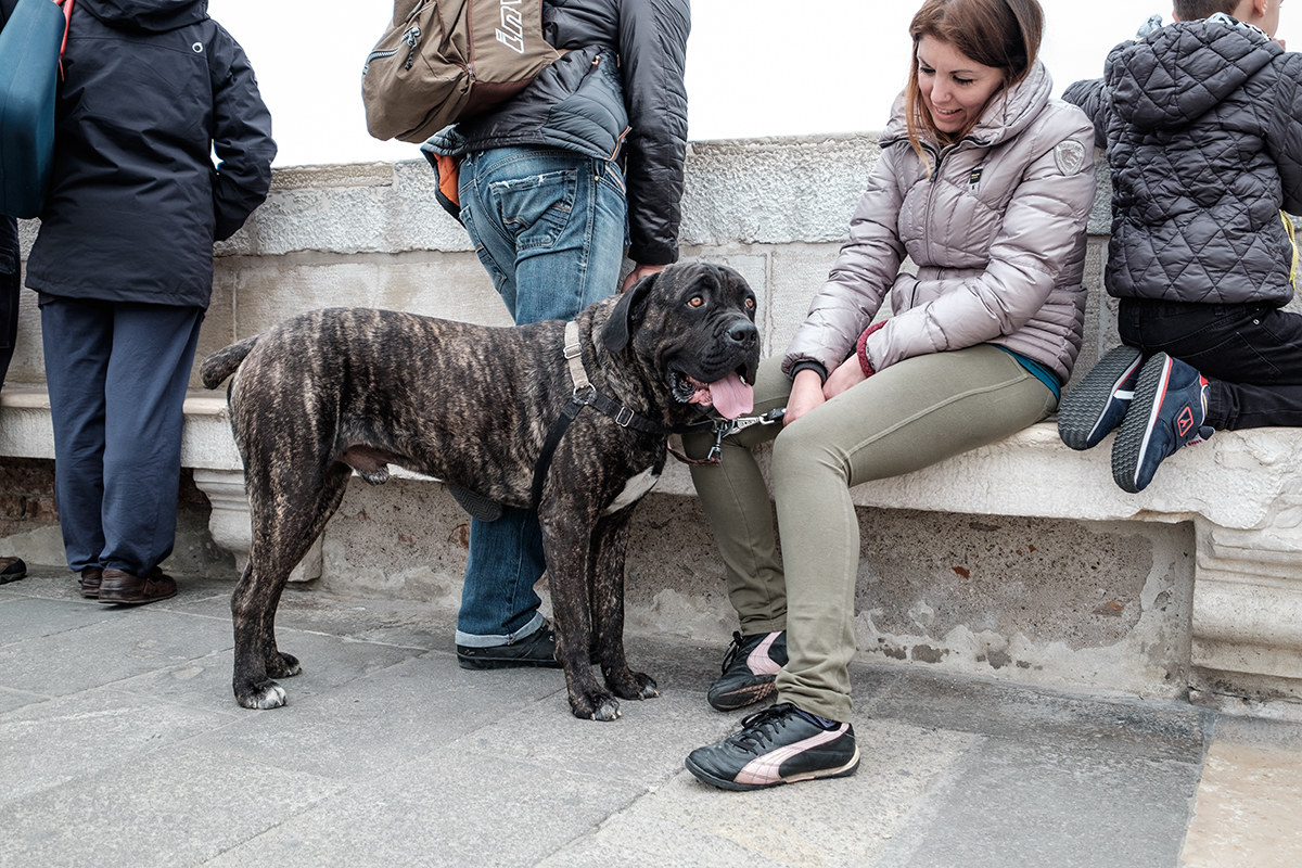 Here, you make photo