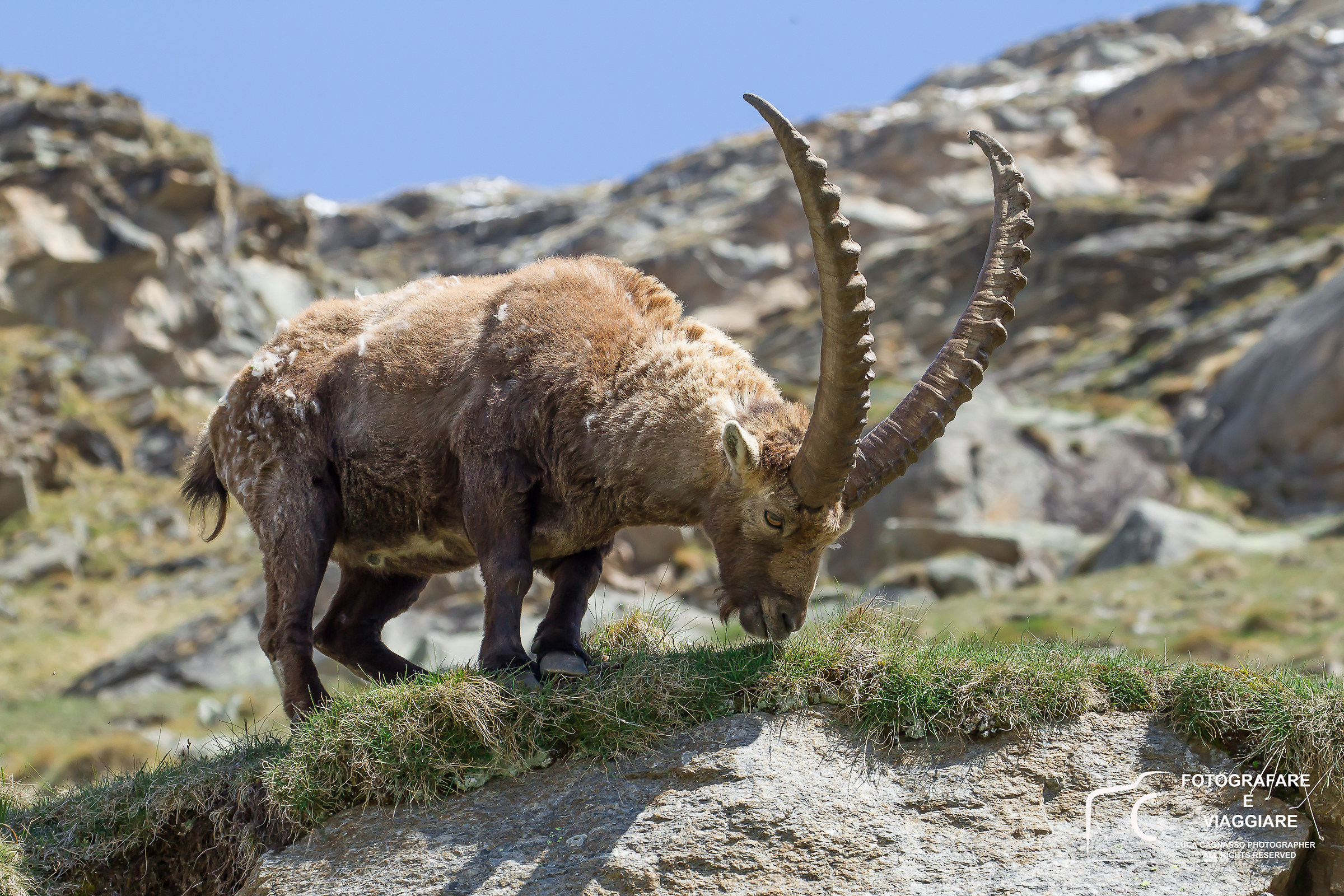 meetings in the Park