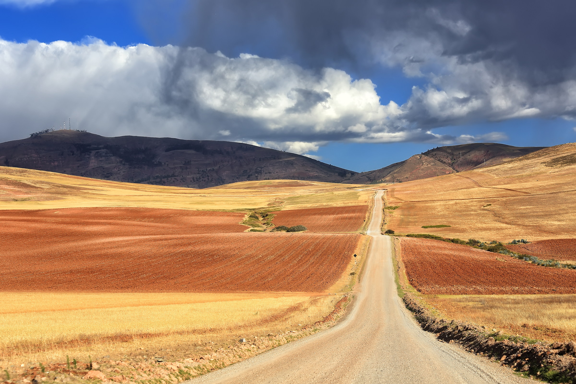 The road in the fields of gold (Peru')