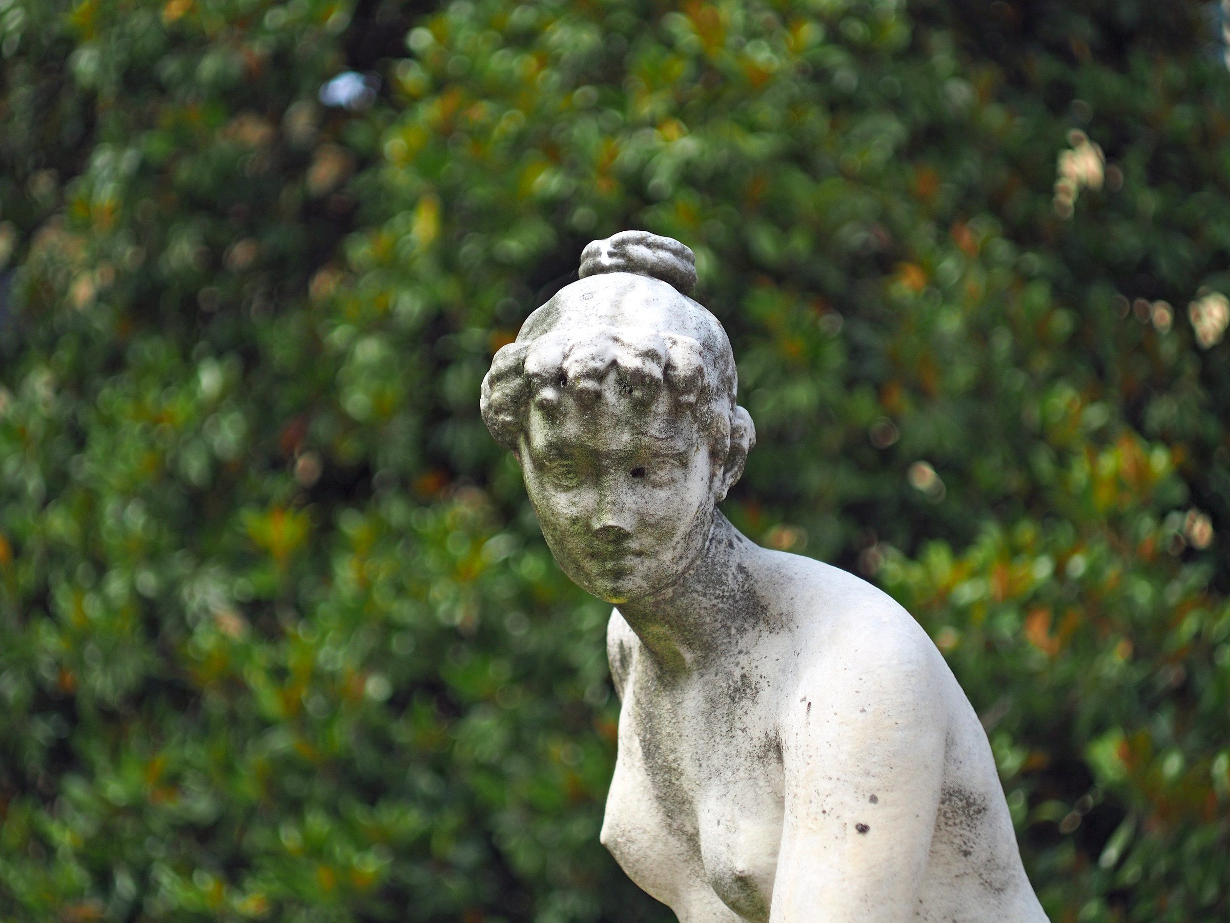 Taken with Helios 44-2