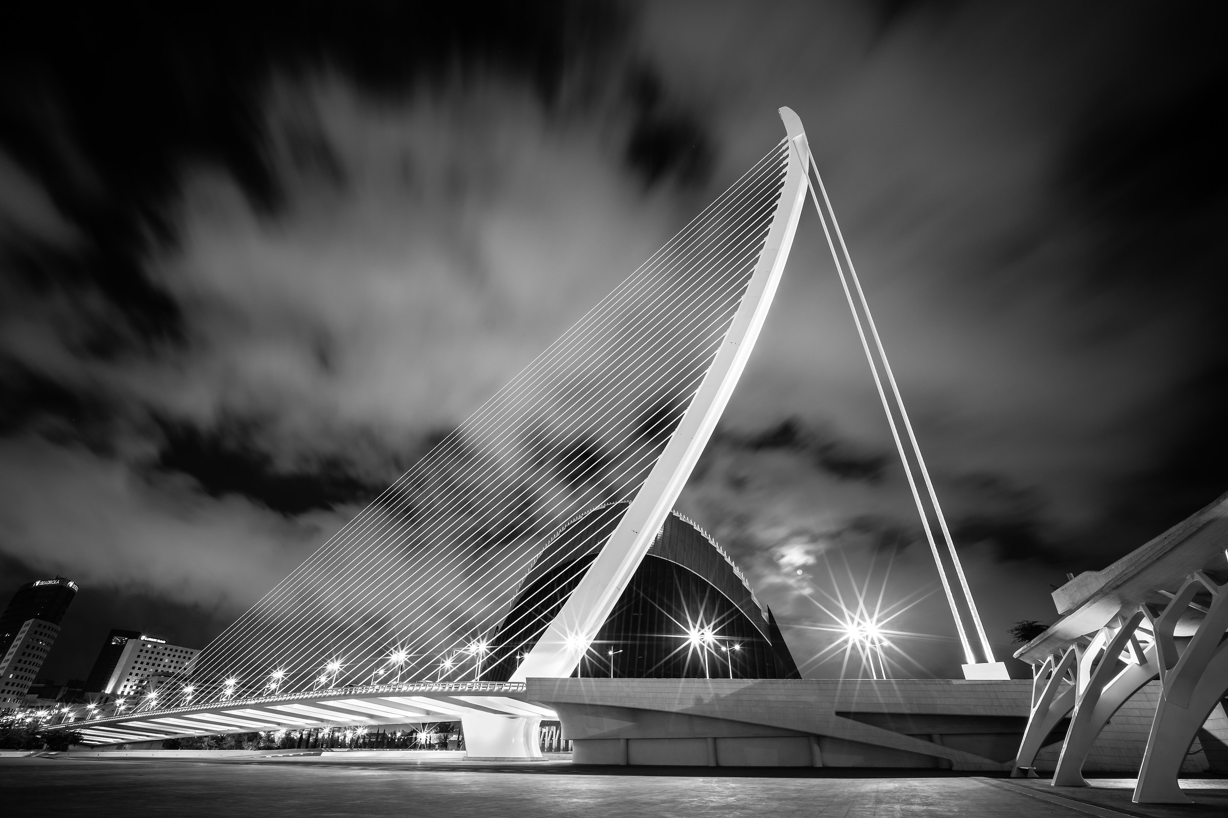 Ponte Calatrava Valencia 1