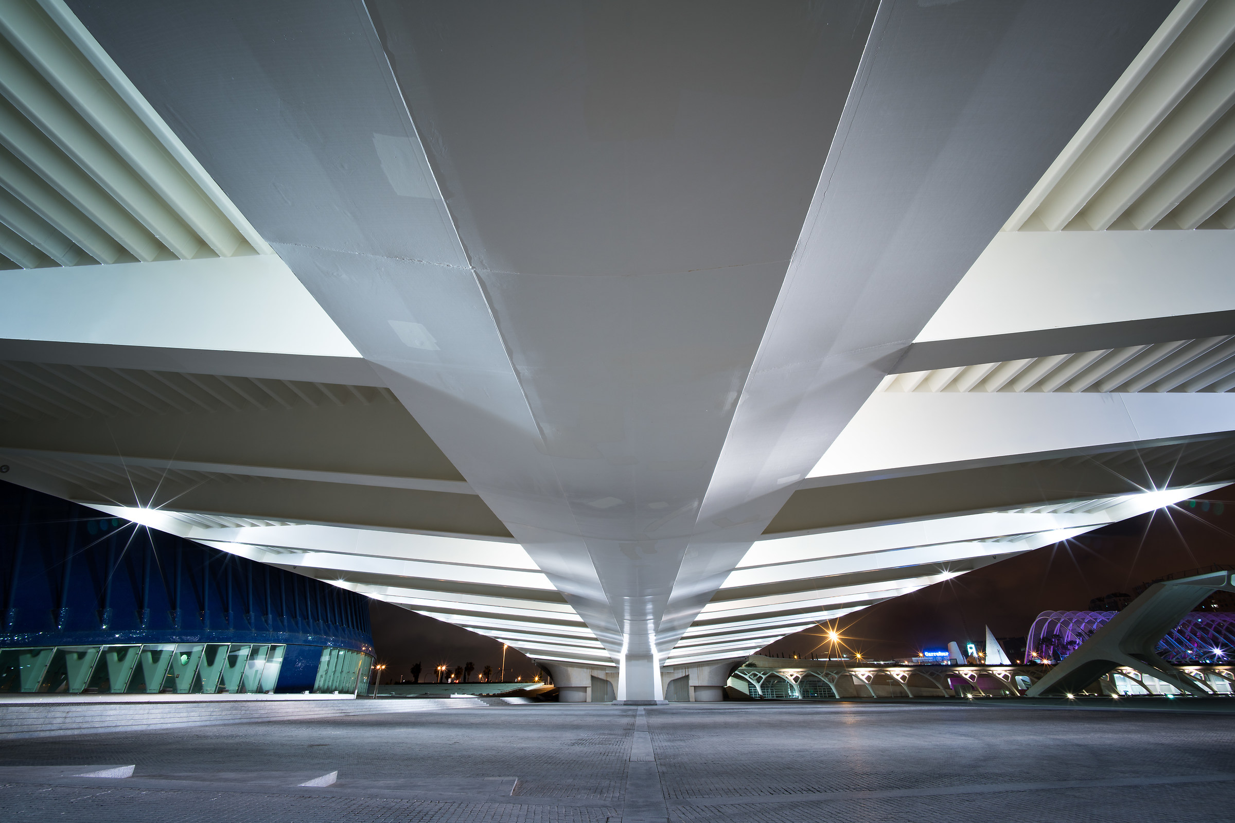 Ponte Calatrava Valencia 2