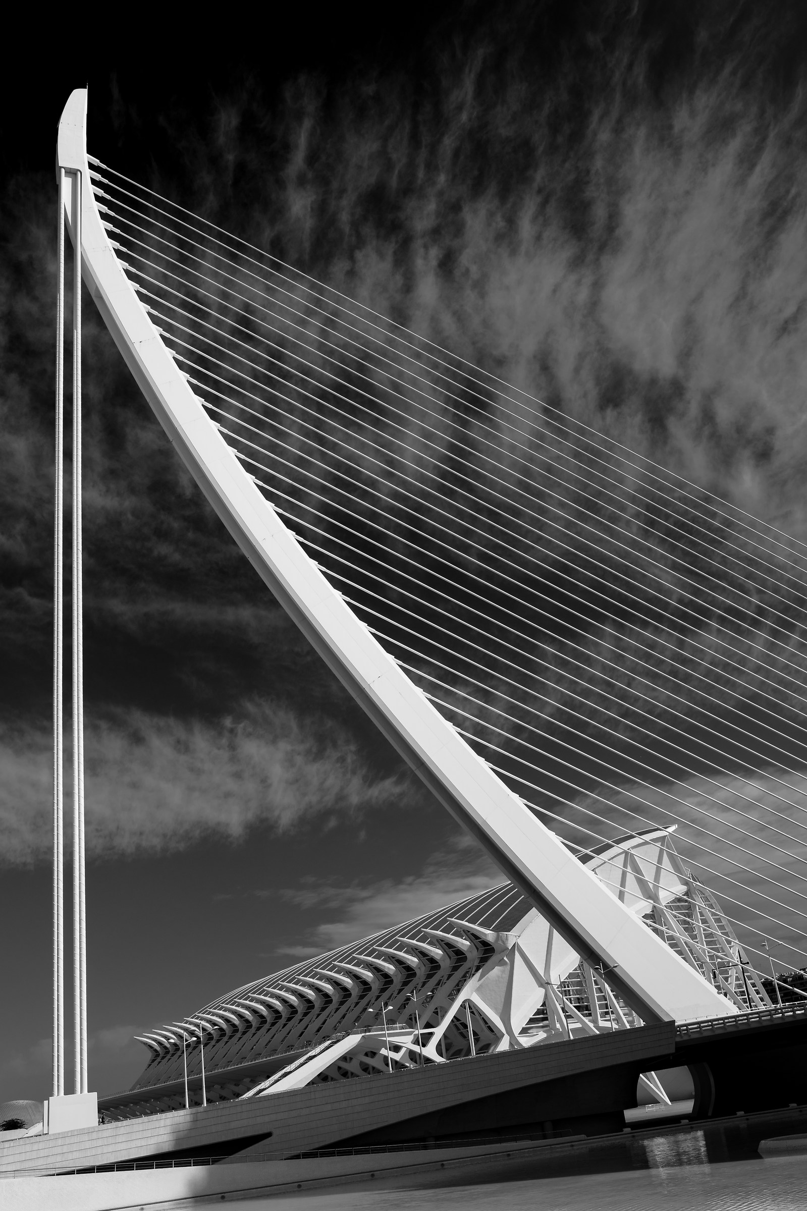Ponte Calatrava Valencia 3