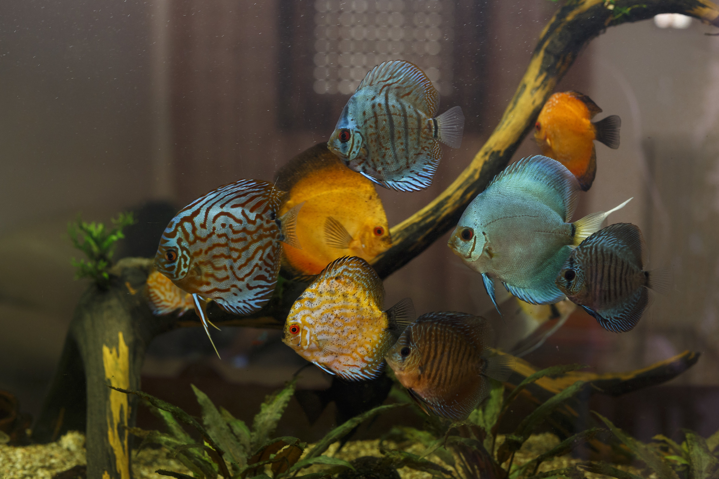 The little ones grow