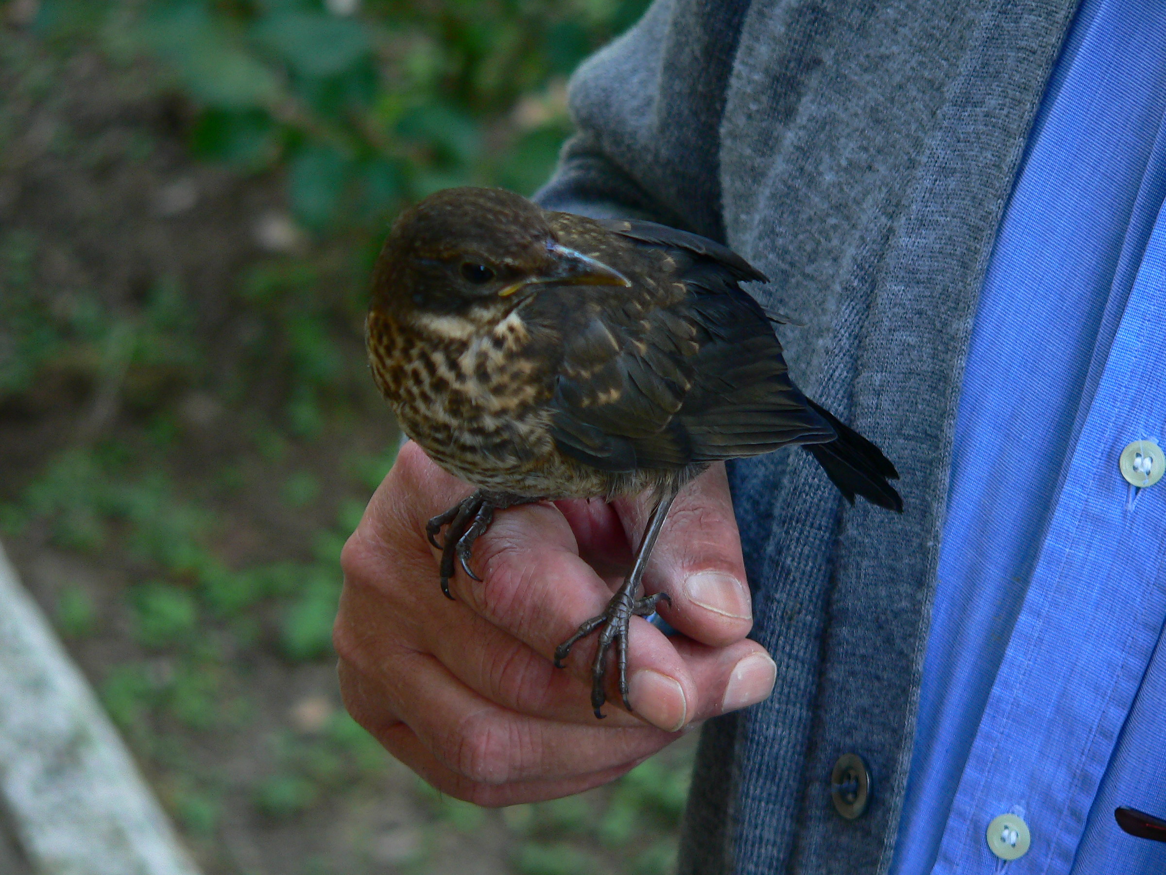 Are you ready to fly?