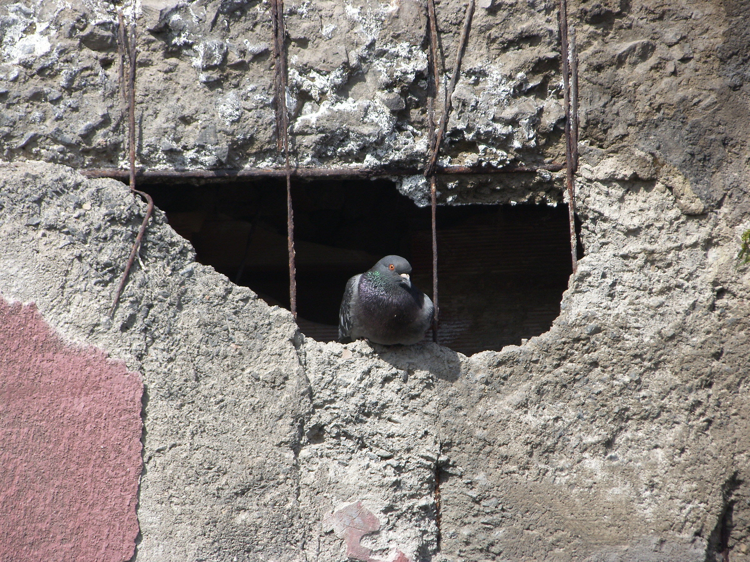 Which is said out there?