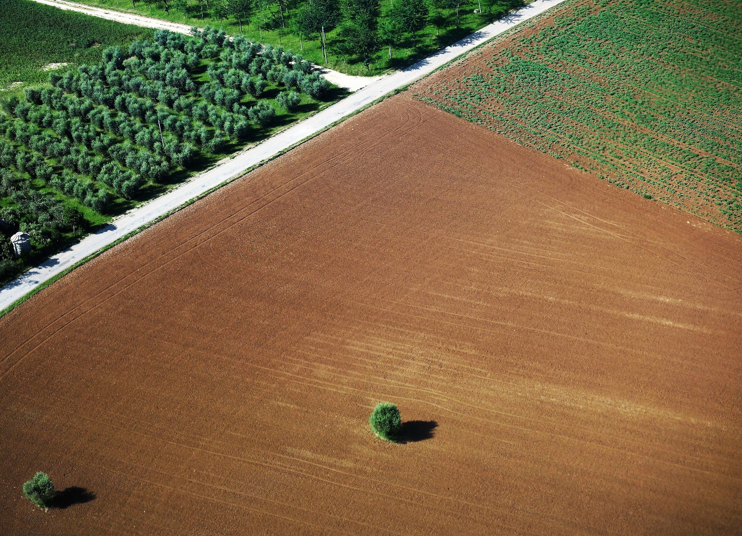 In flight over the fields