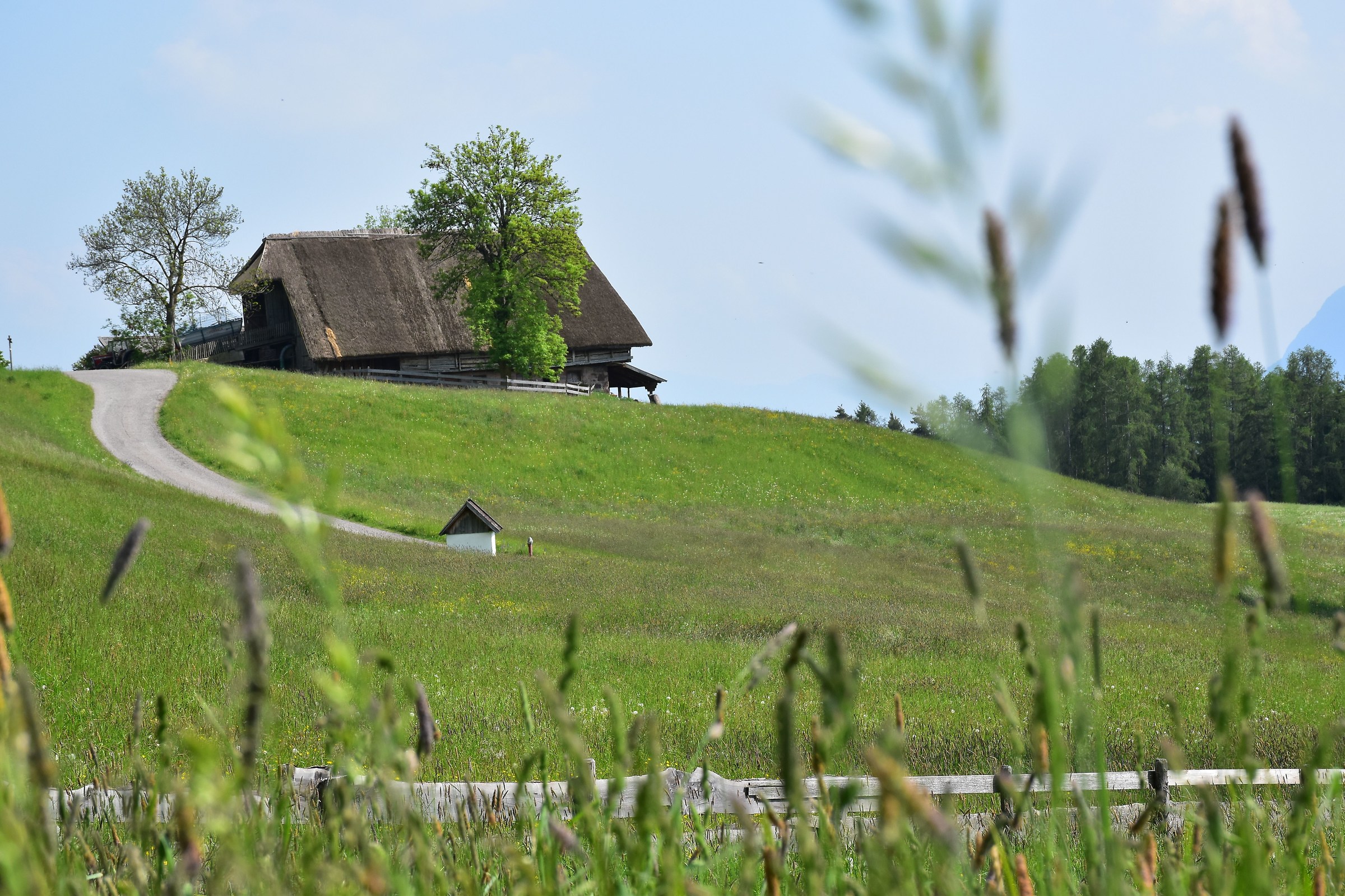 Barn with thatched roof