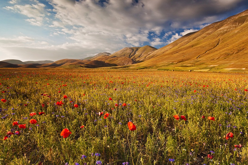 towards the mouintains