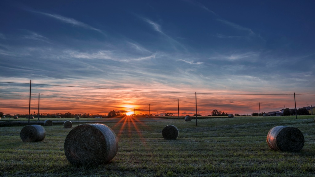 Raw bales of hay ...