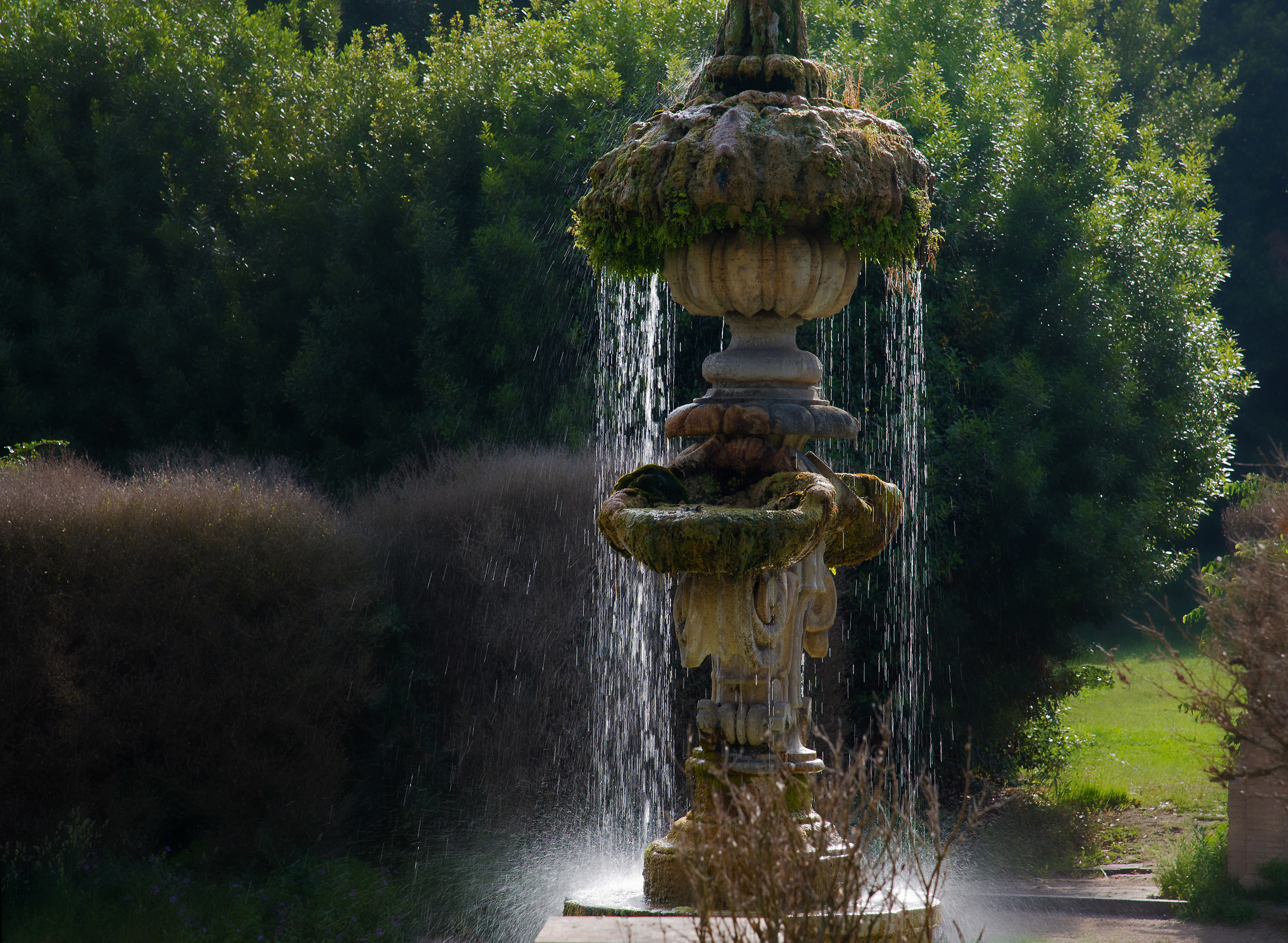 scorre l'acqua della vita