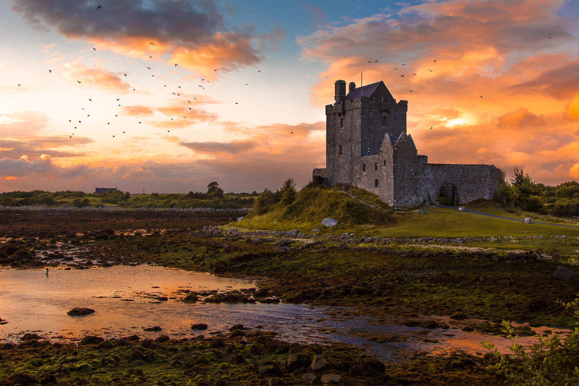 Dunguaire Castle
