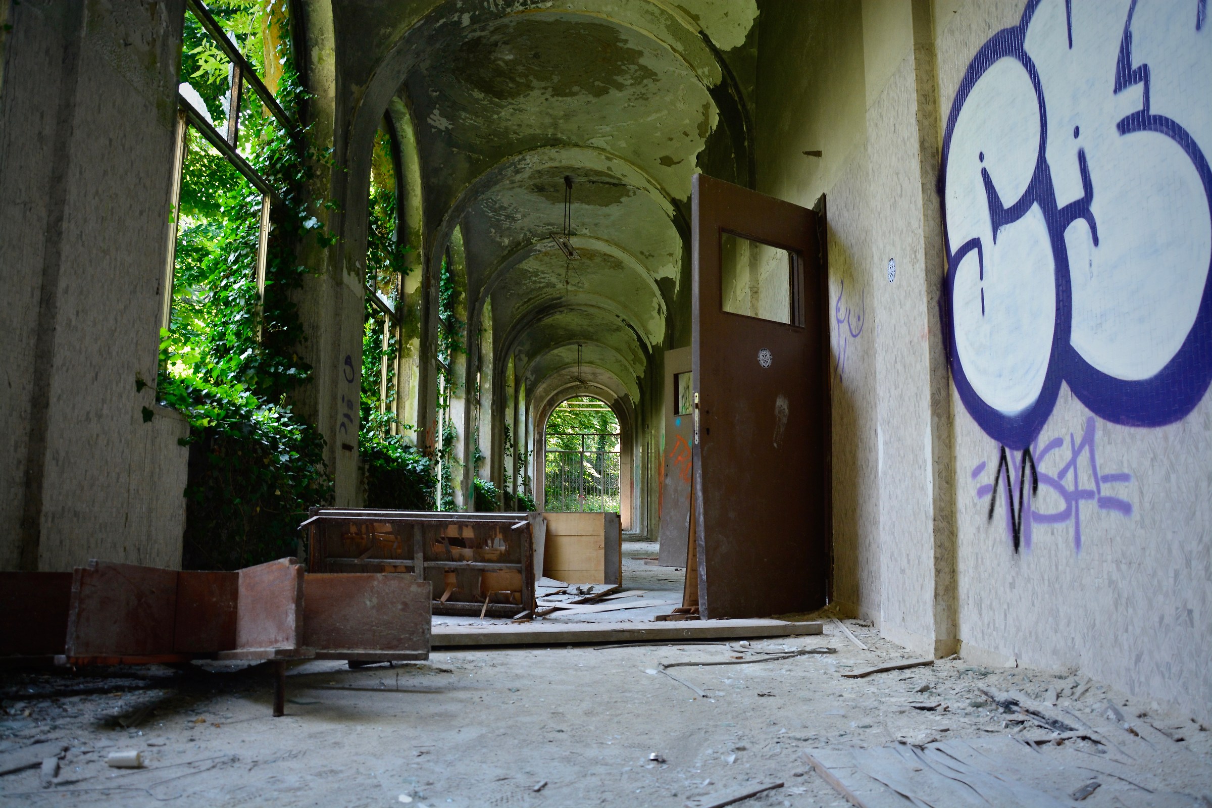 ..the nature is coming ..