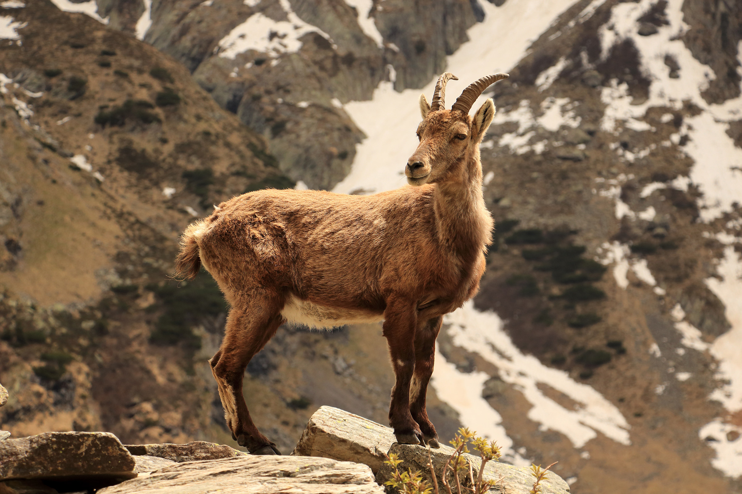 "il mio lato migliore"...