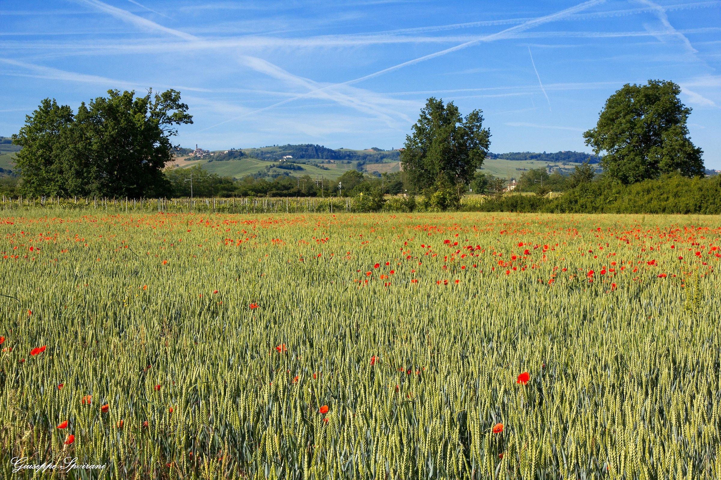 nature under a sky ...... trails