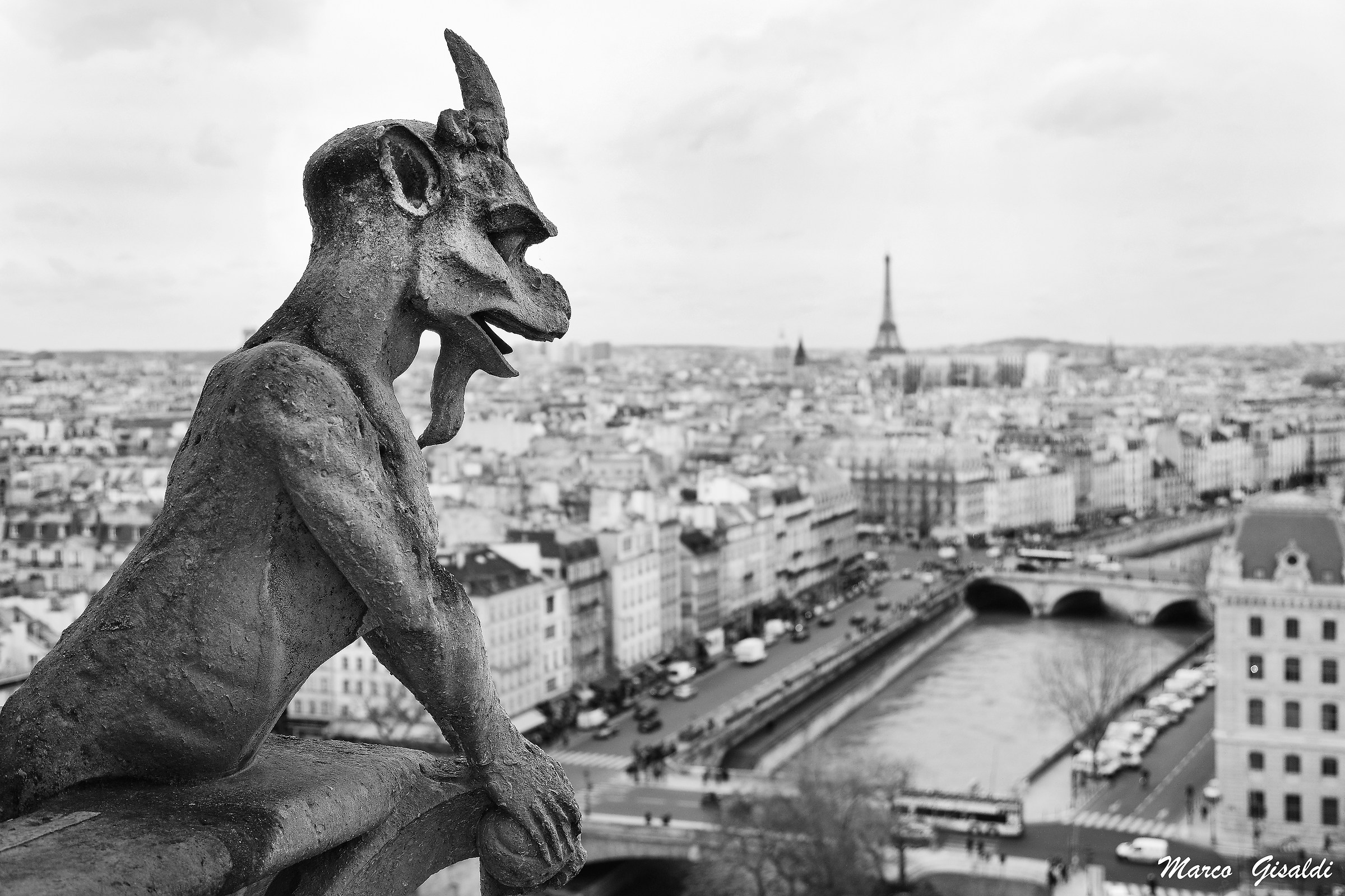 The watchful eye of Paris