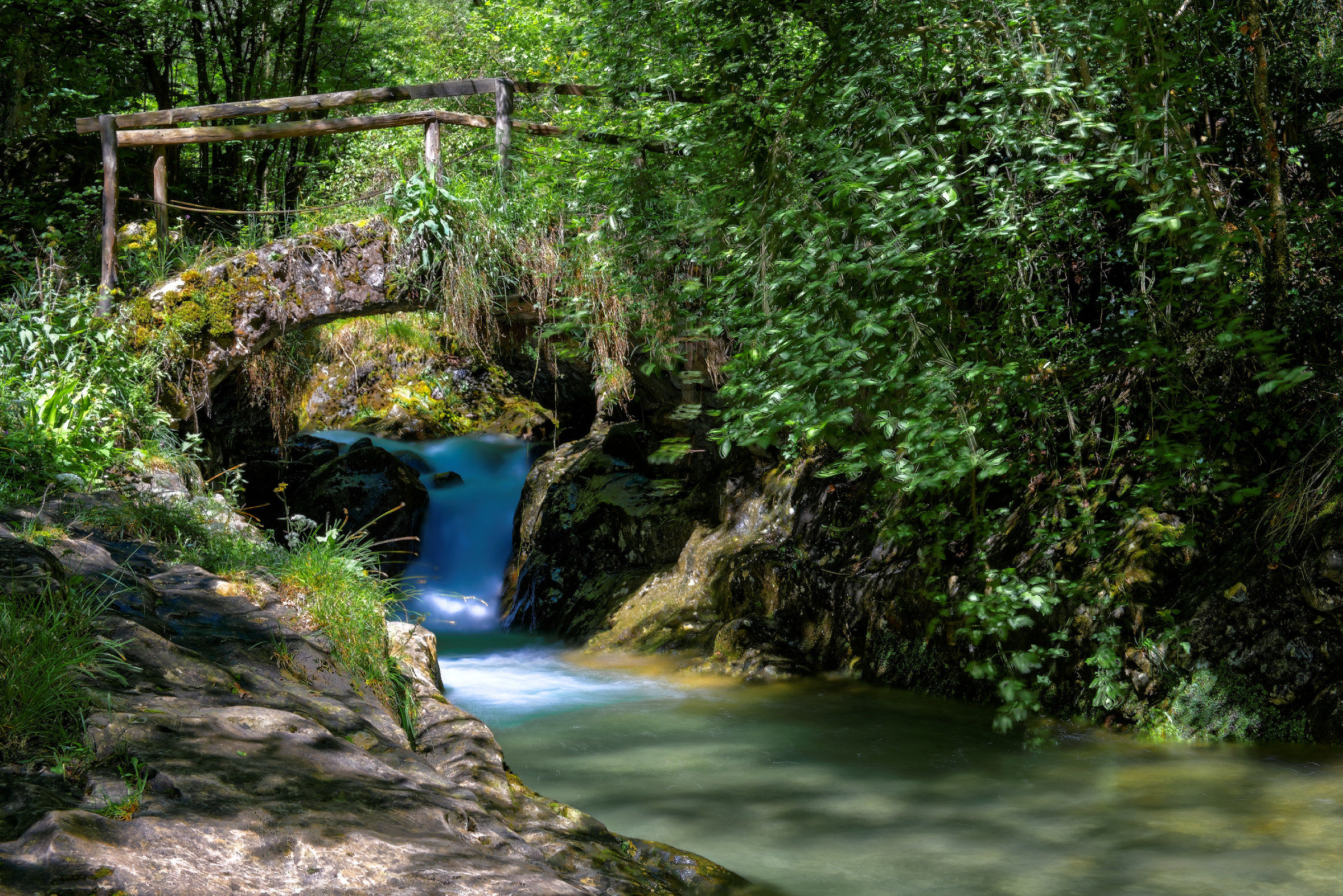 Dog of the bridge - 2