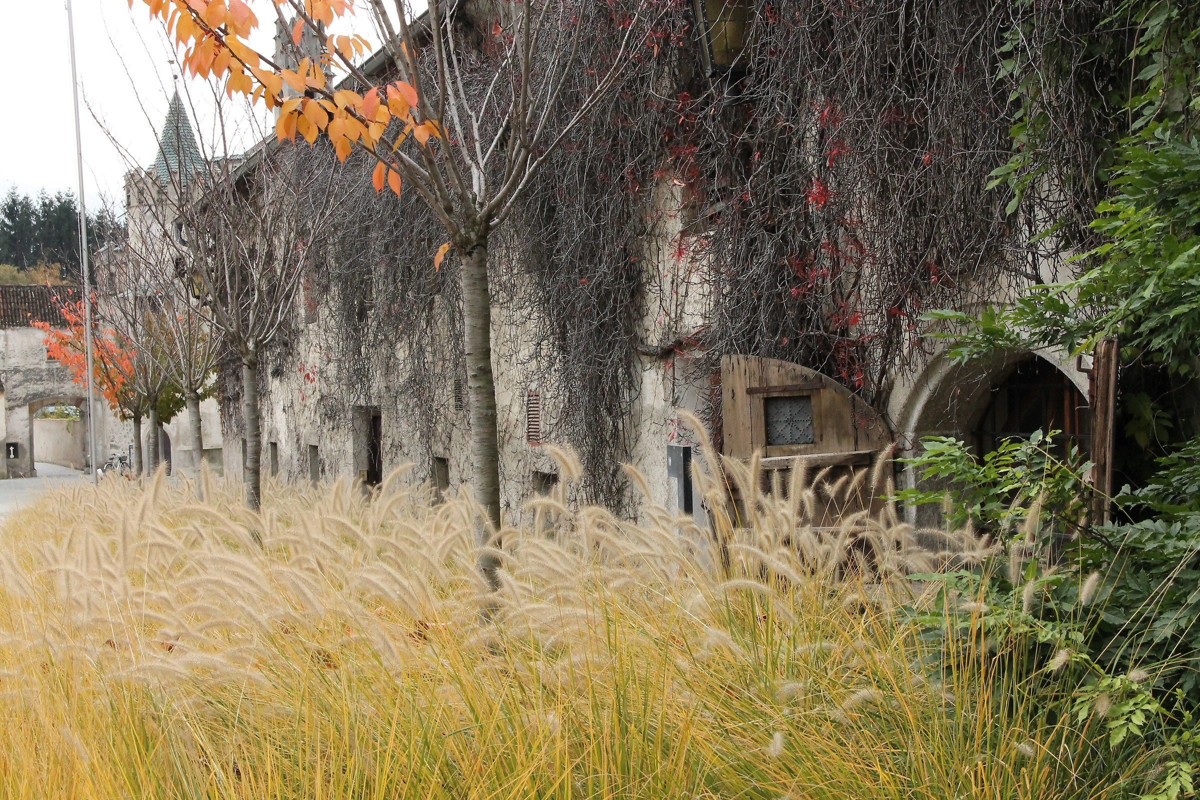 Convent of Novacella BZ