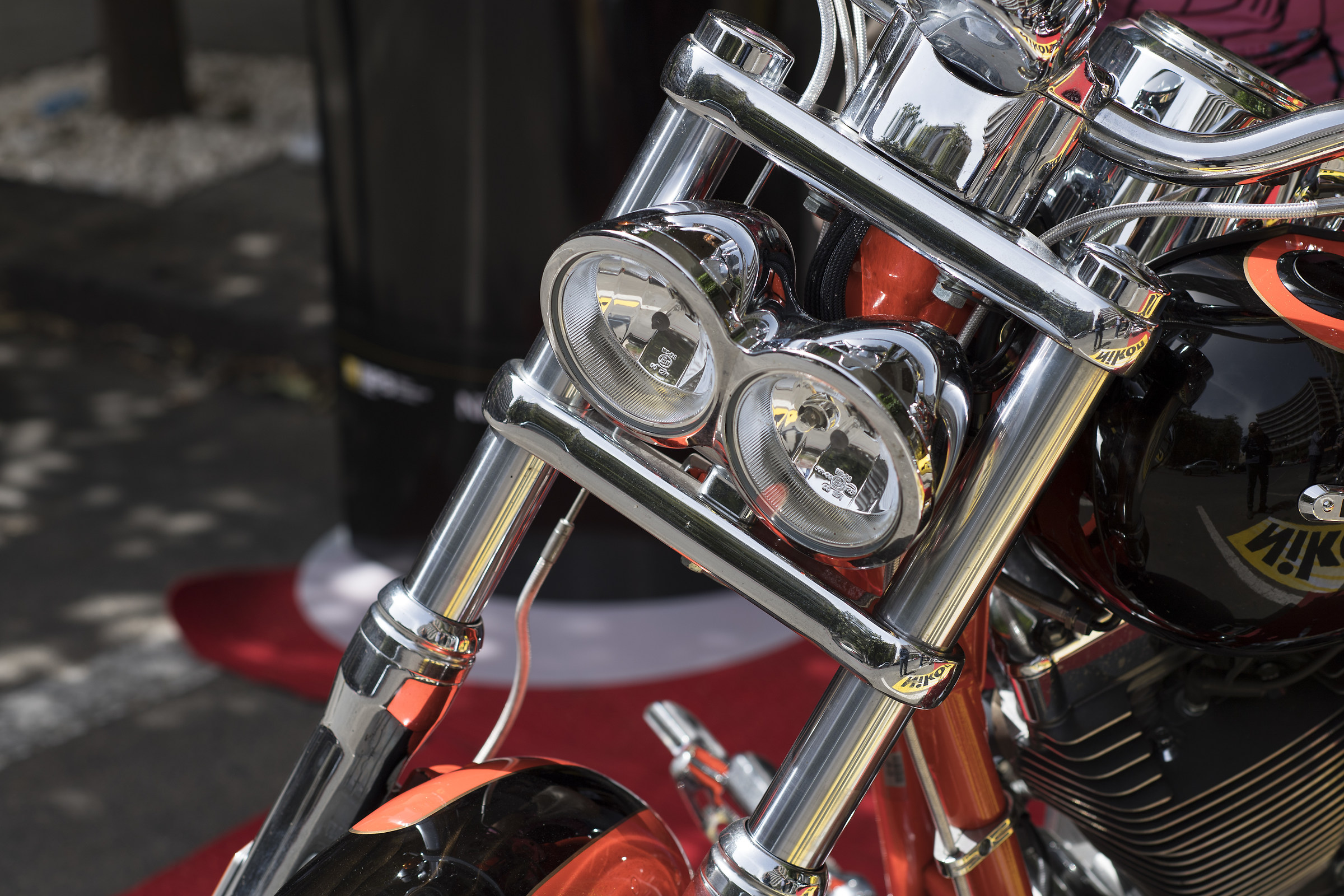 Test Nikon D5 a 100 ISO