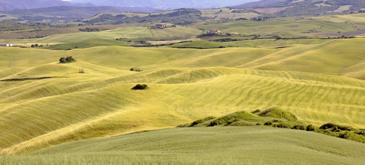 Come onde di un antico mare..