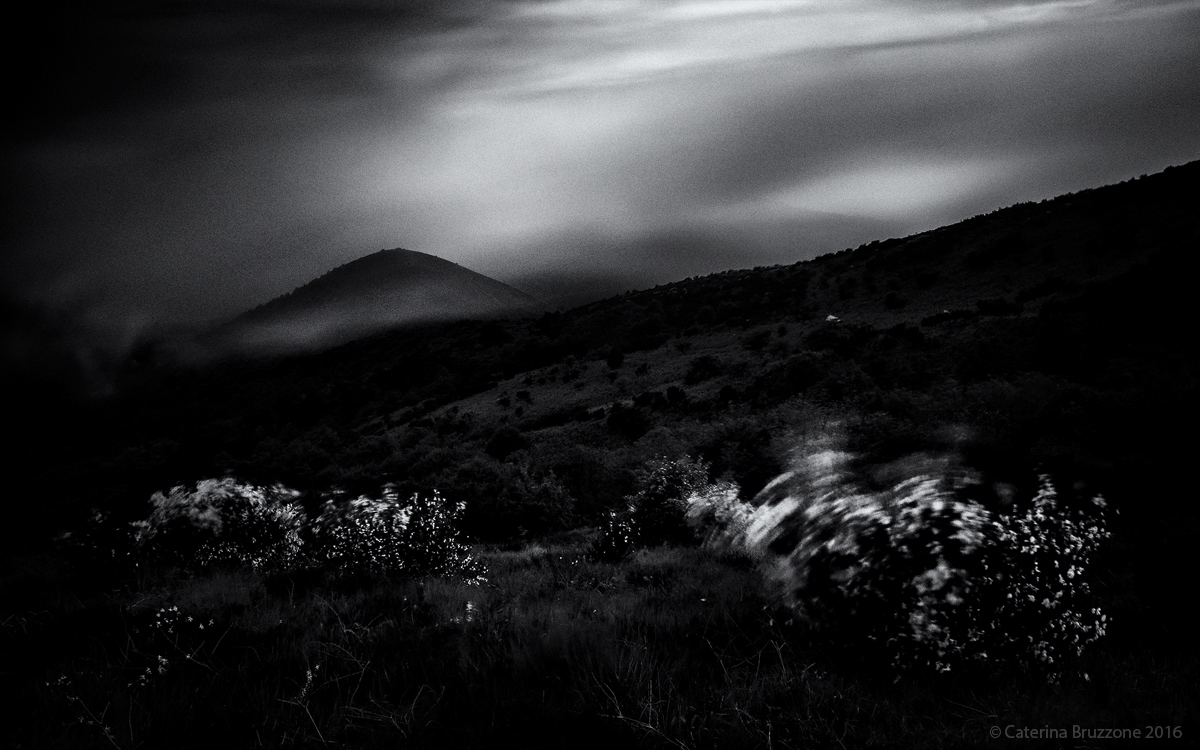 Vento tra le ginestre