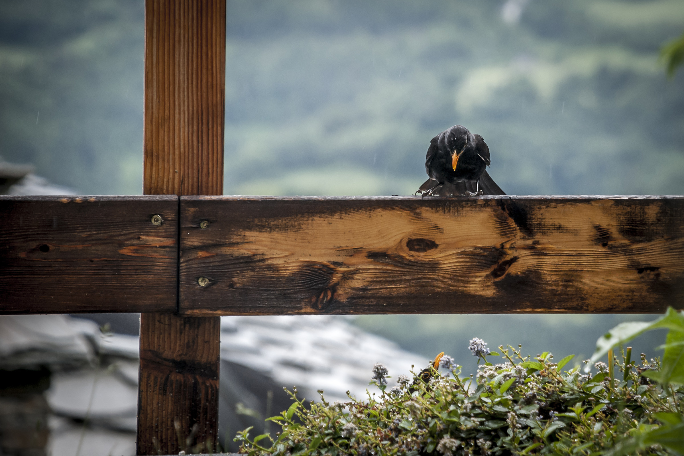 I'm watching you....