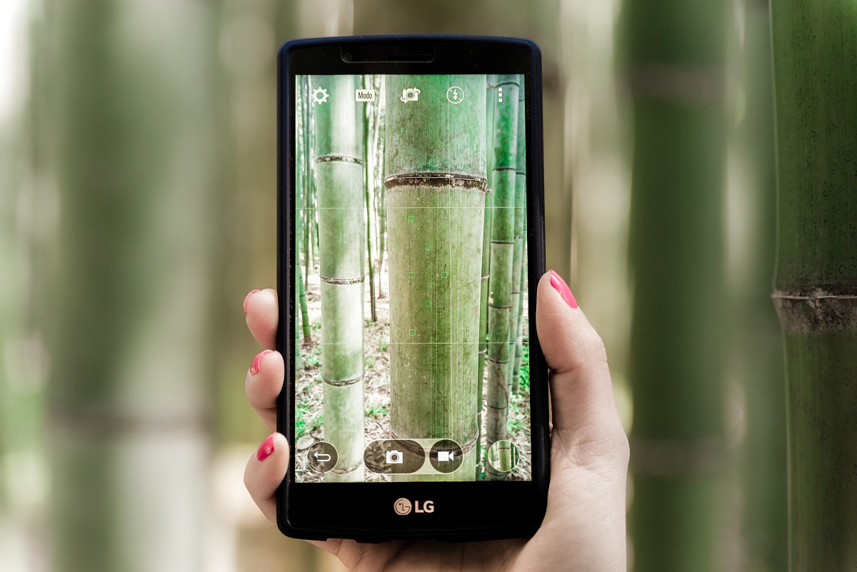 Arashiyama Bamboo Forest