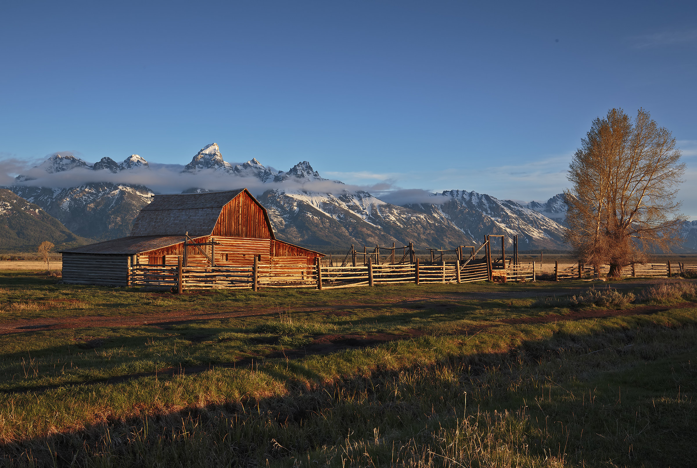 Grand Teton