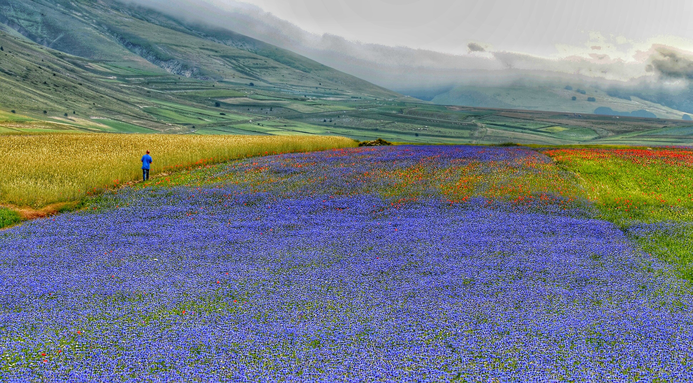 Better alone than maleaccompagnati