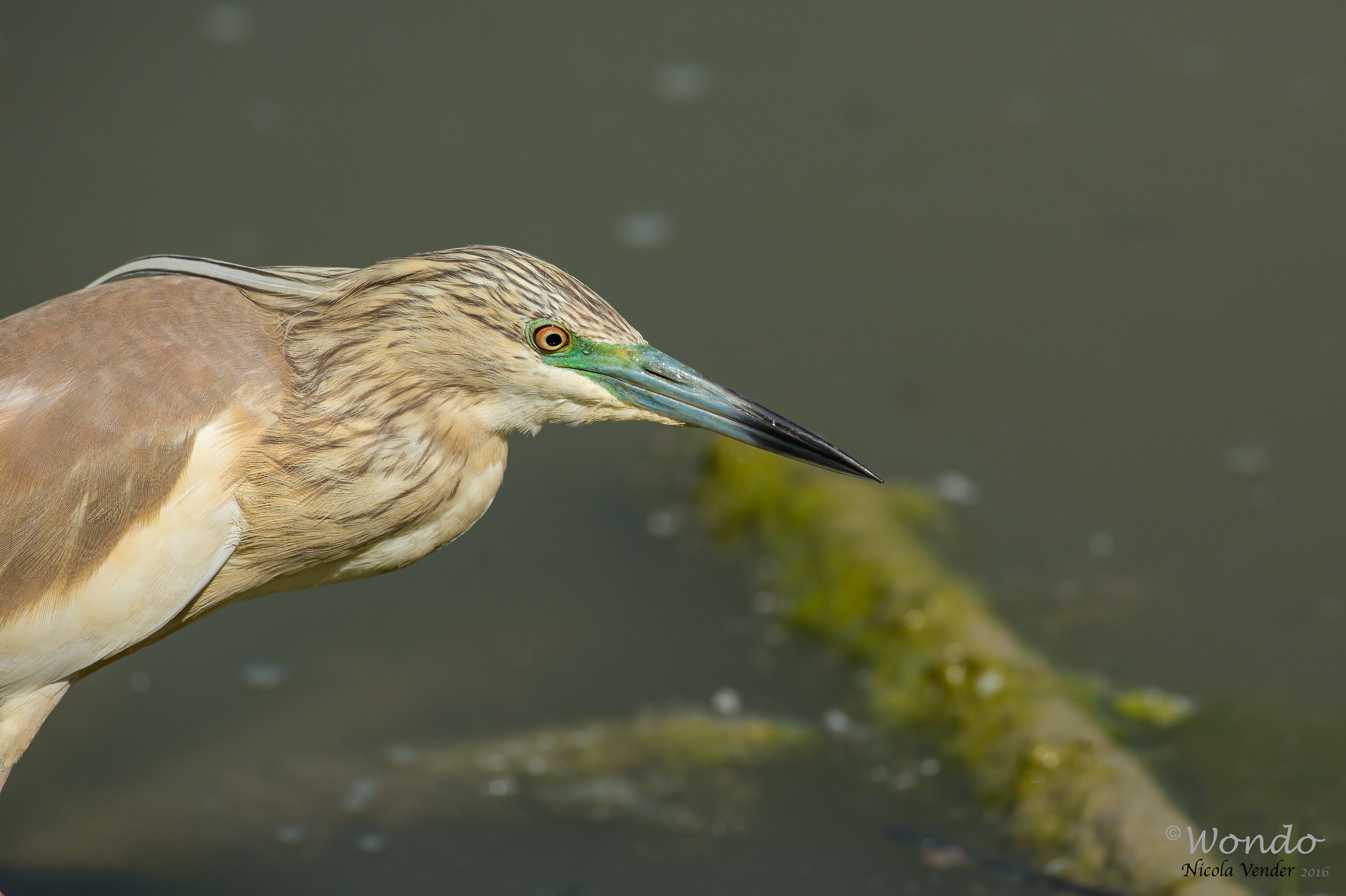 a bit 'too close ....