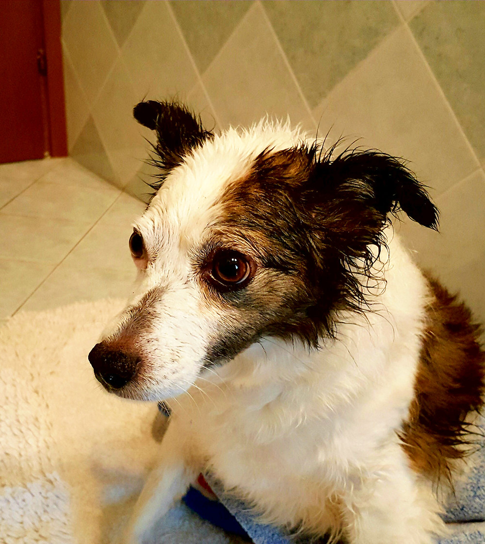 "But when it stops raining"