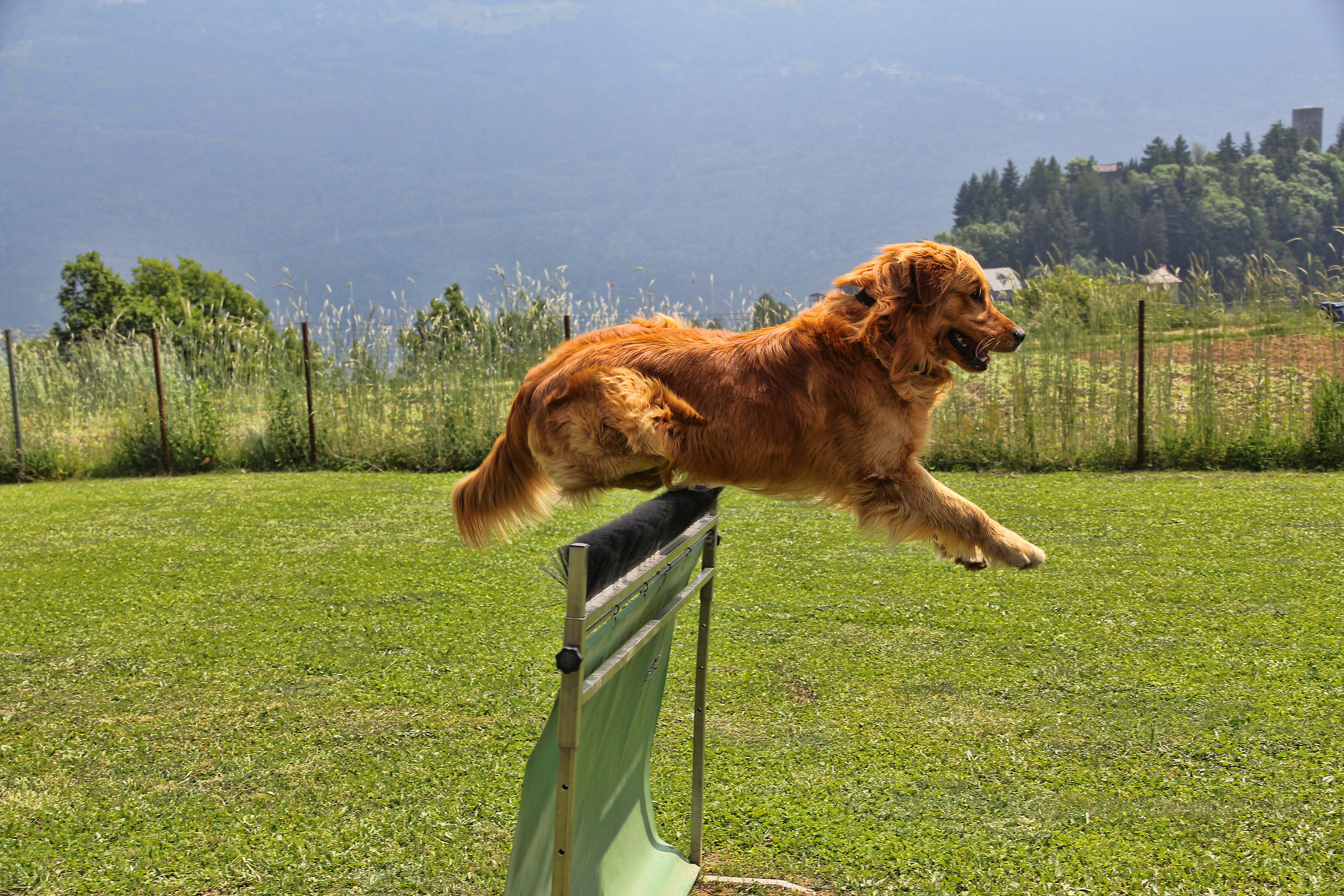 higher and higher...