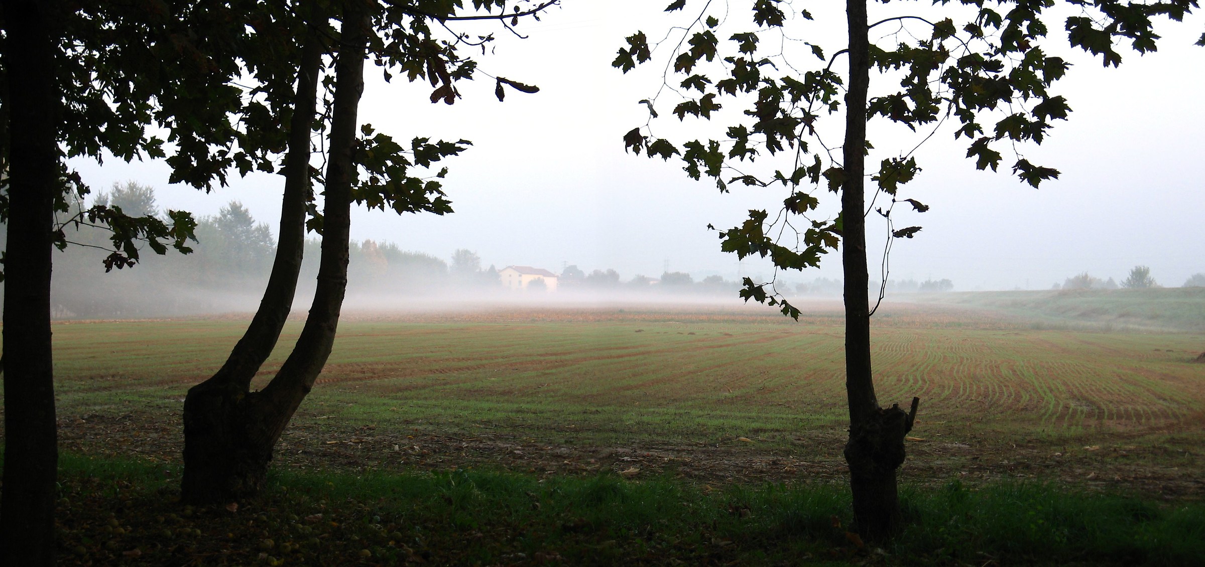 Morning of October (2008,