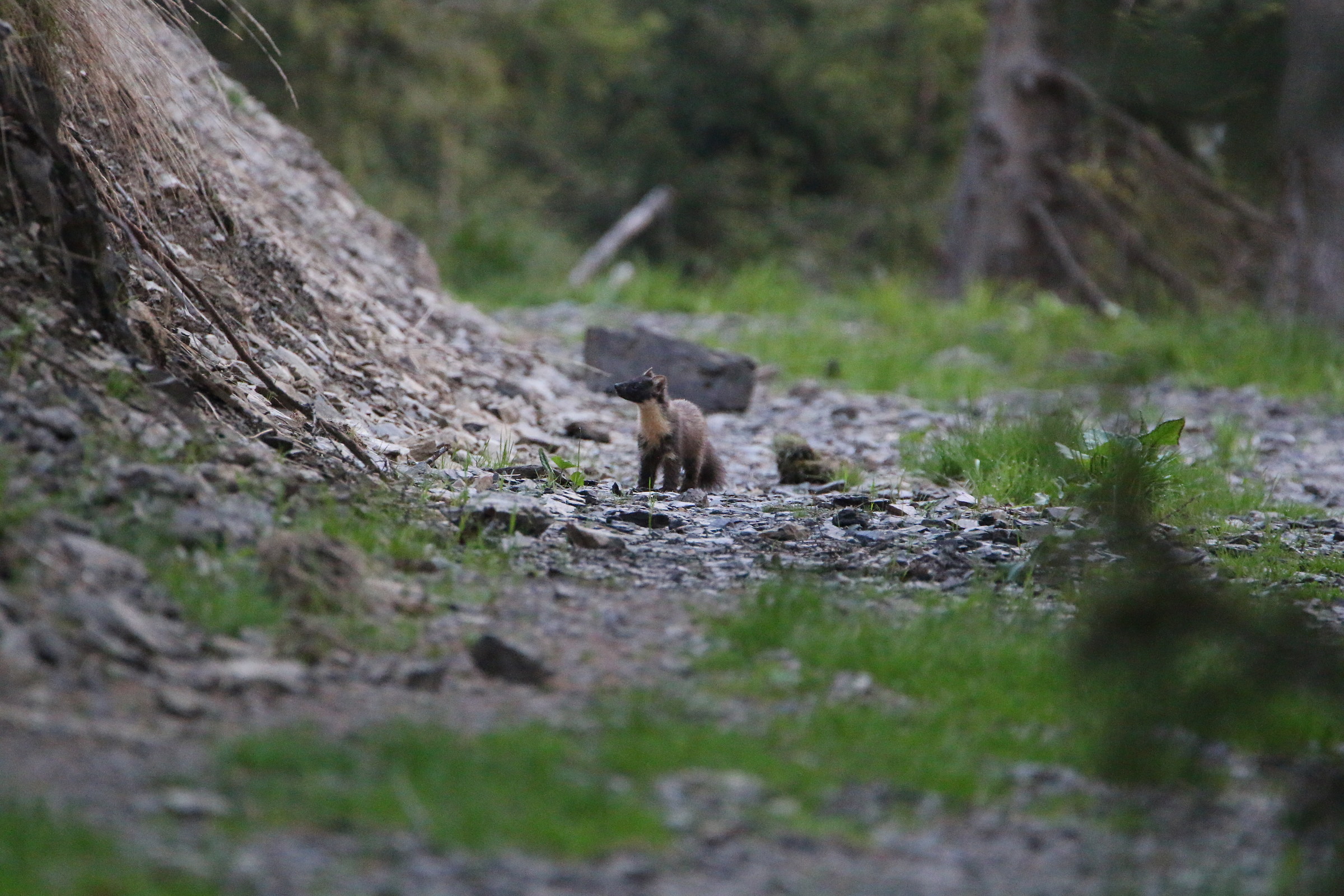 Surprise behind the 'corner