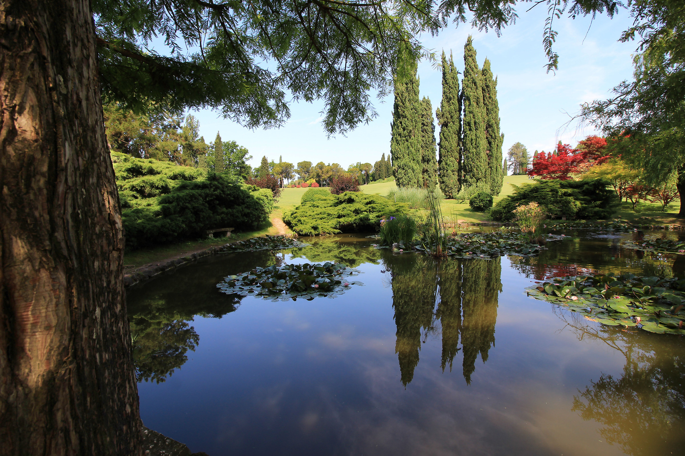 Park sicurta garden '