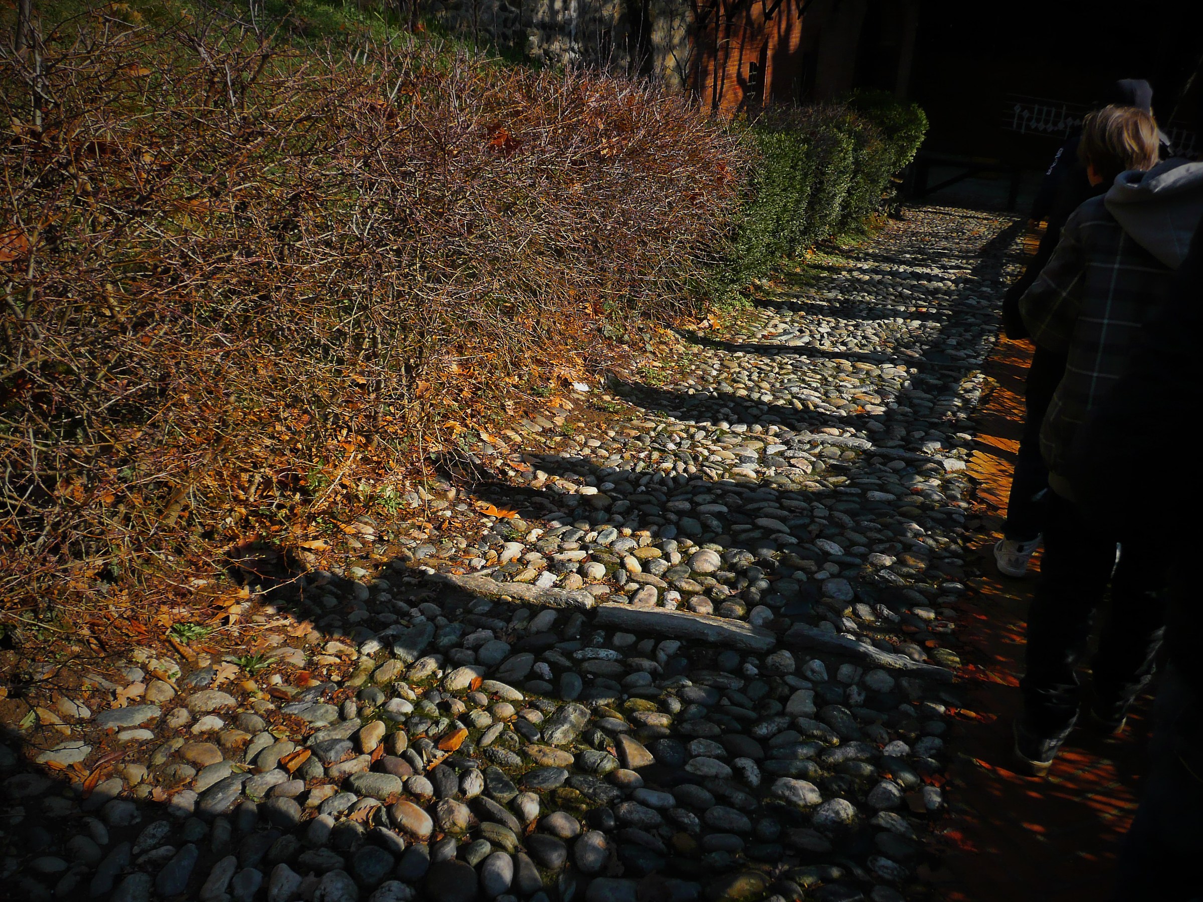 in the middle of the journey of our life