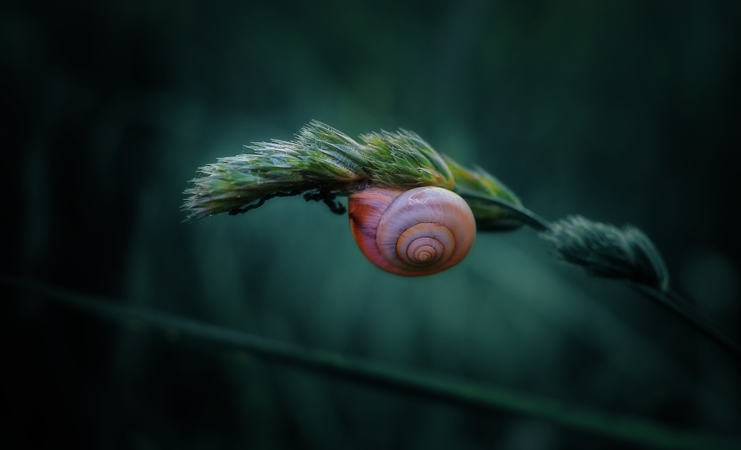 The electronic postman
