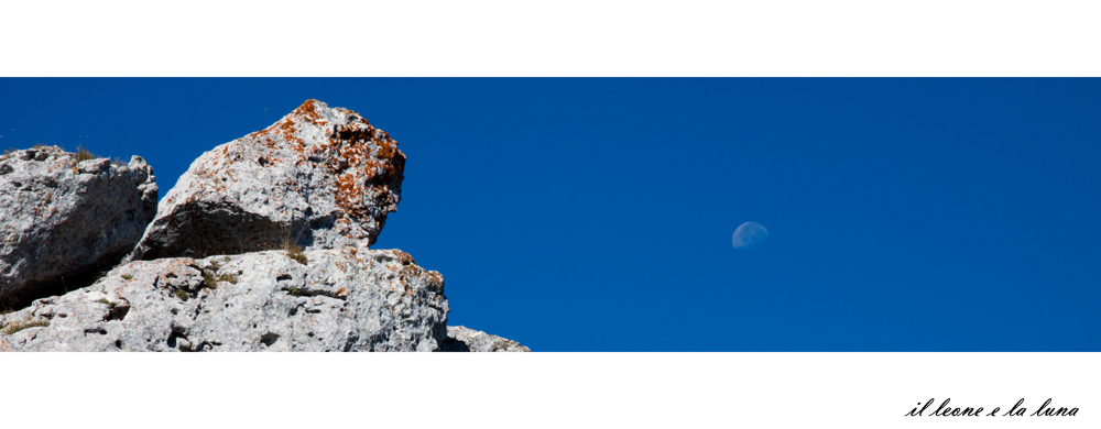 the lion and the moon