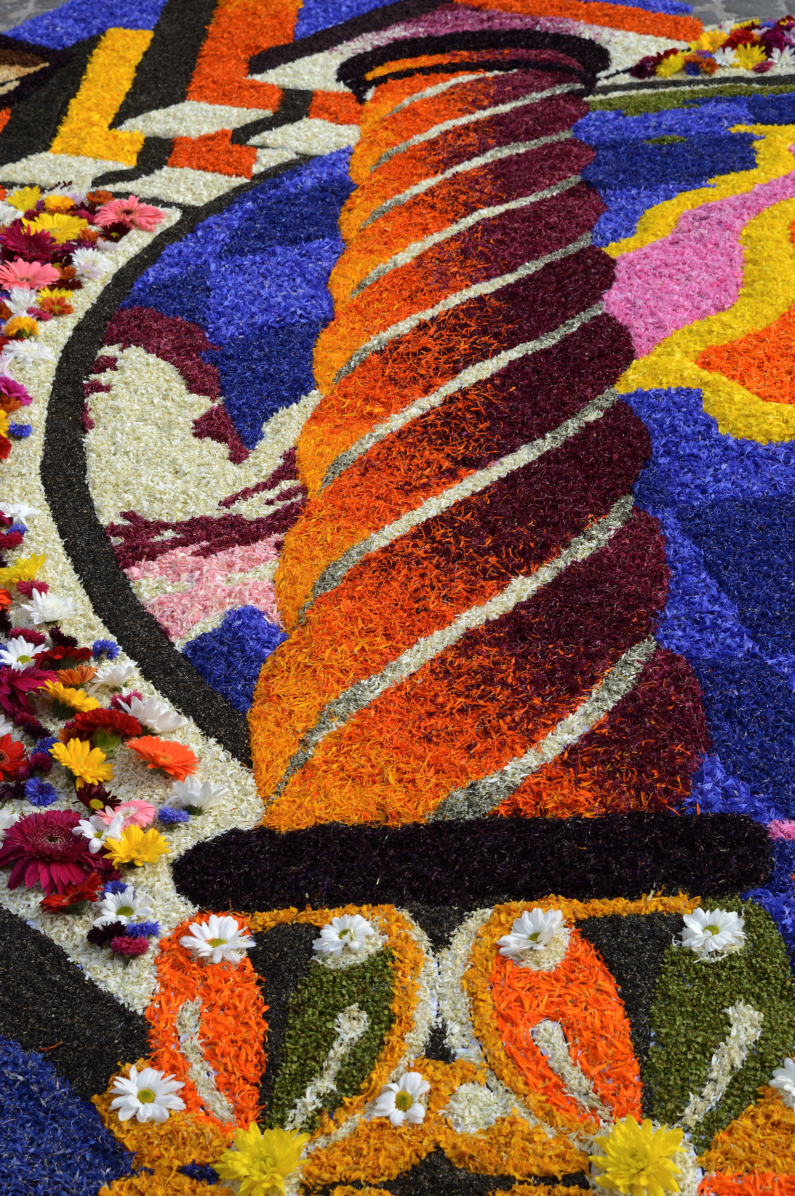 Infiorata of Spello (detail)