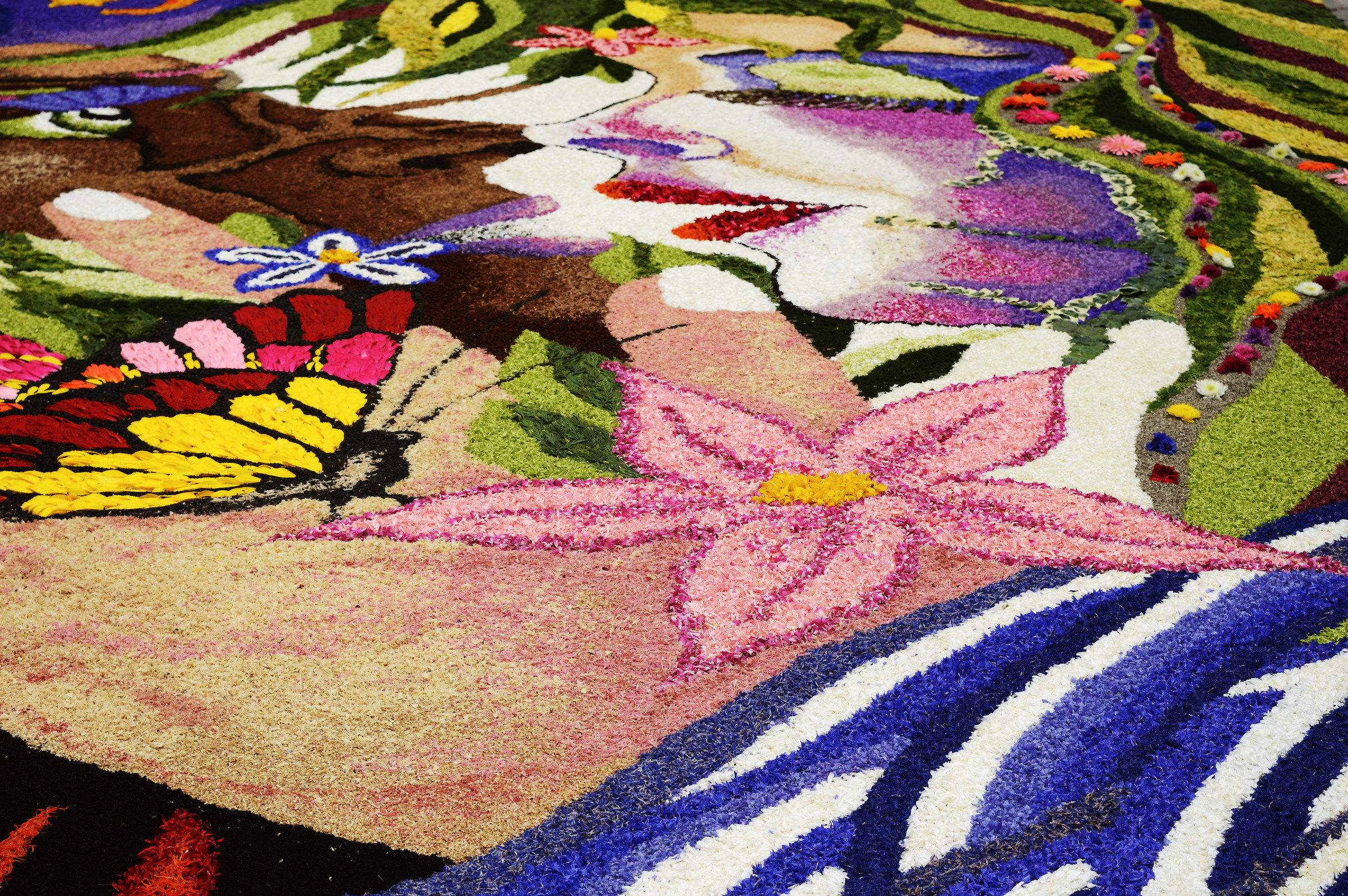 Infiorata of Spello (detail)
