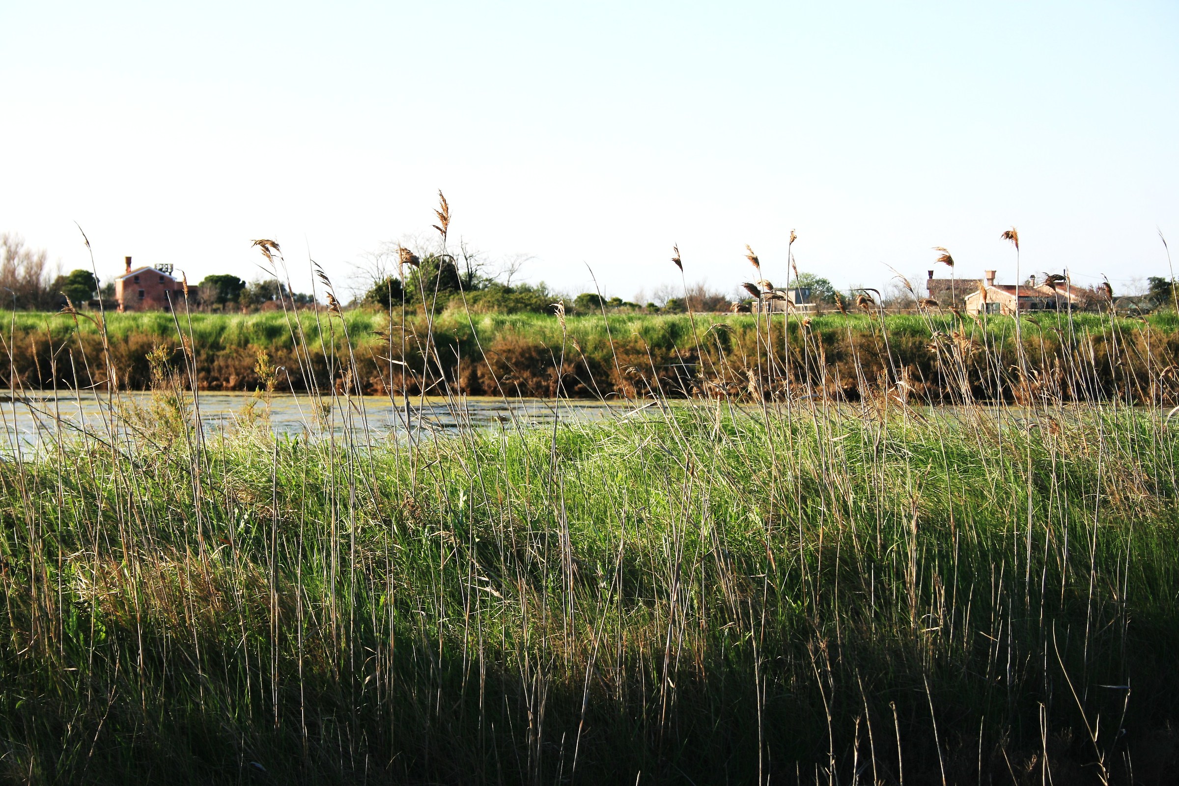 lio Piccolo, sandbanks