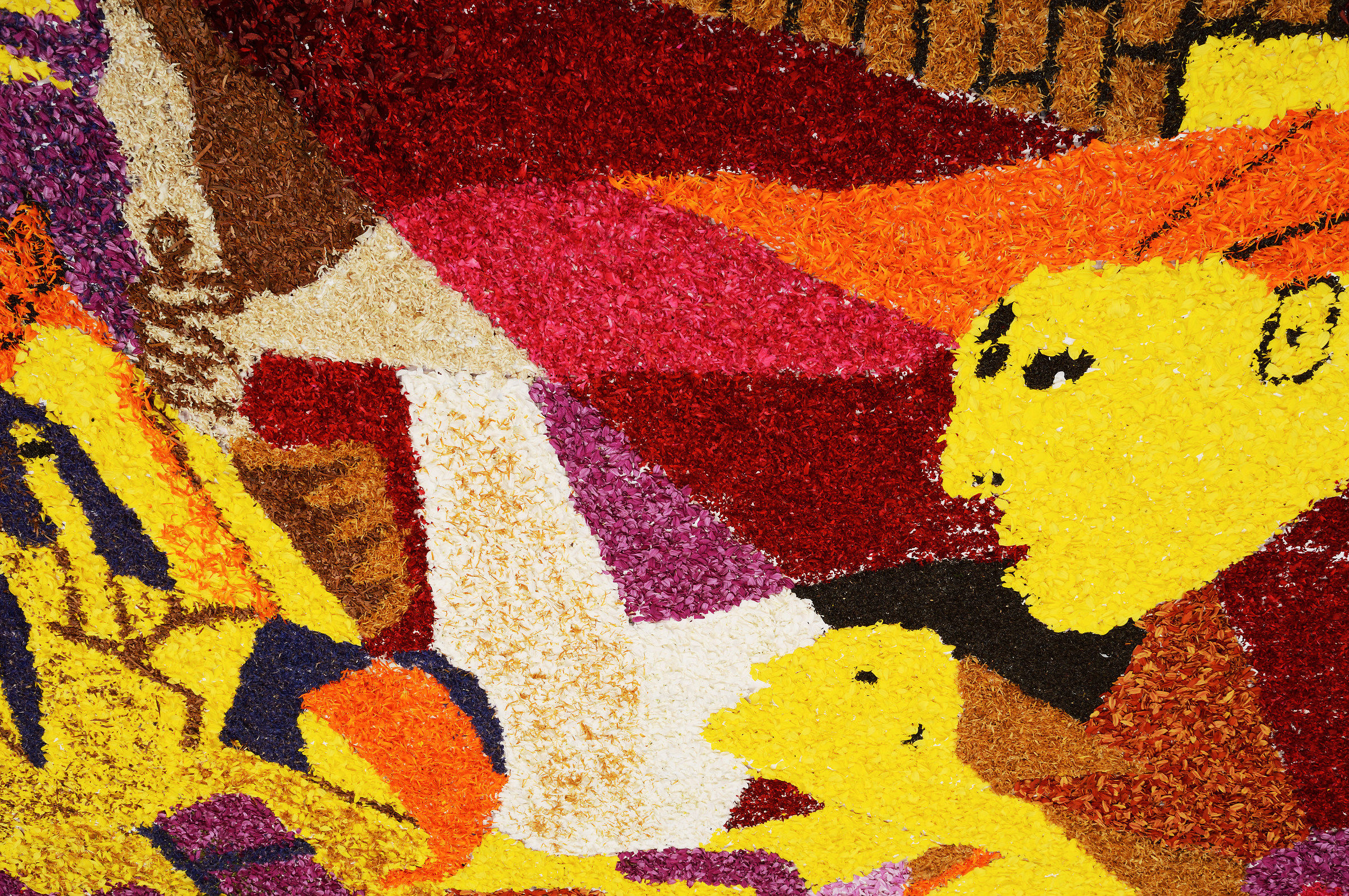 Infiorata of Spello (detail)