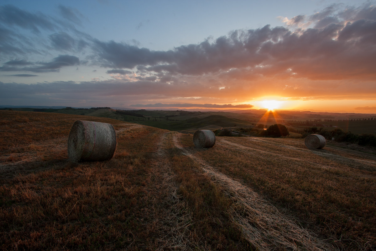 A Sienese sunset
