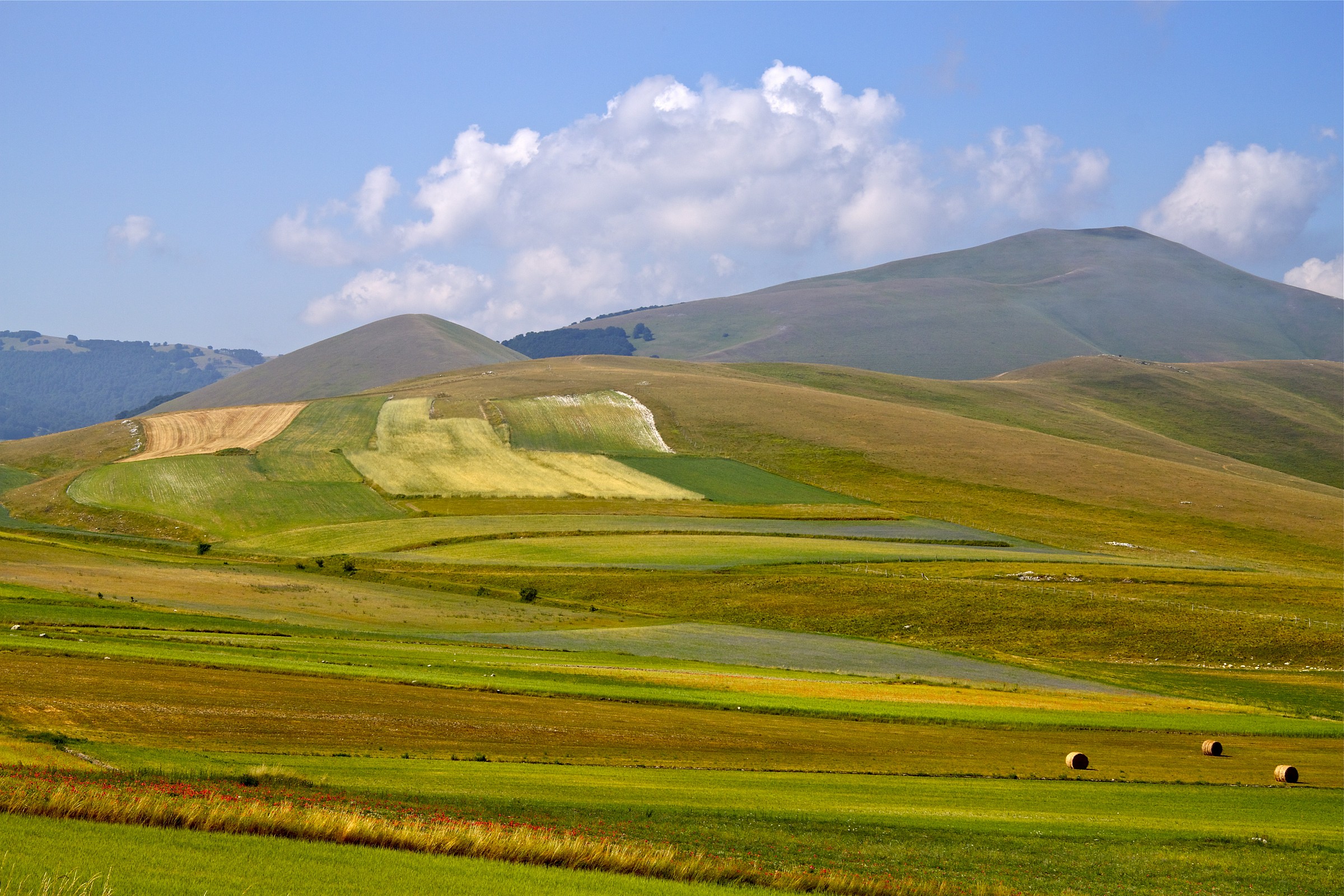 verso forca di presta