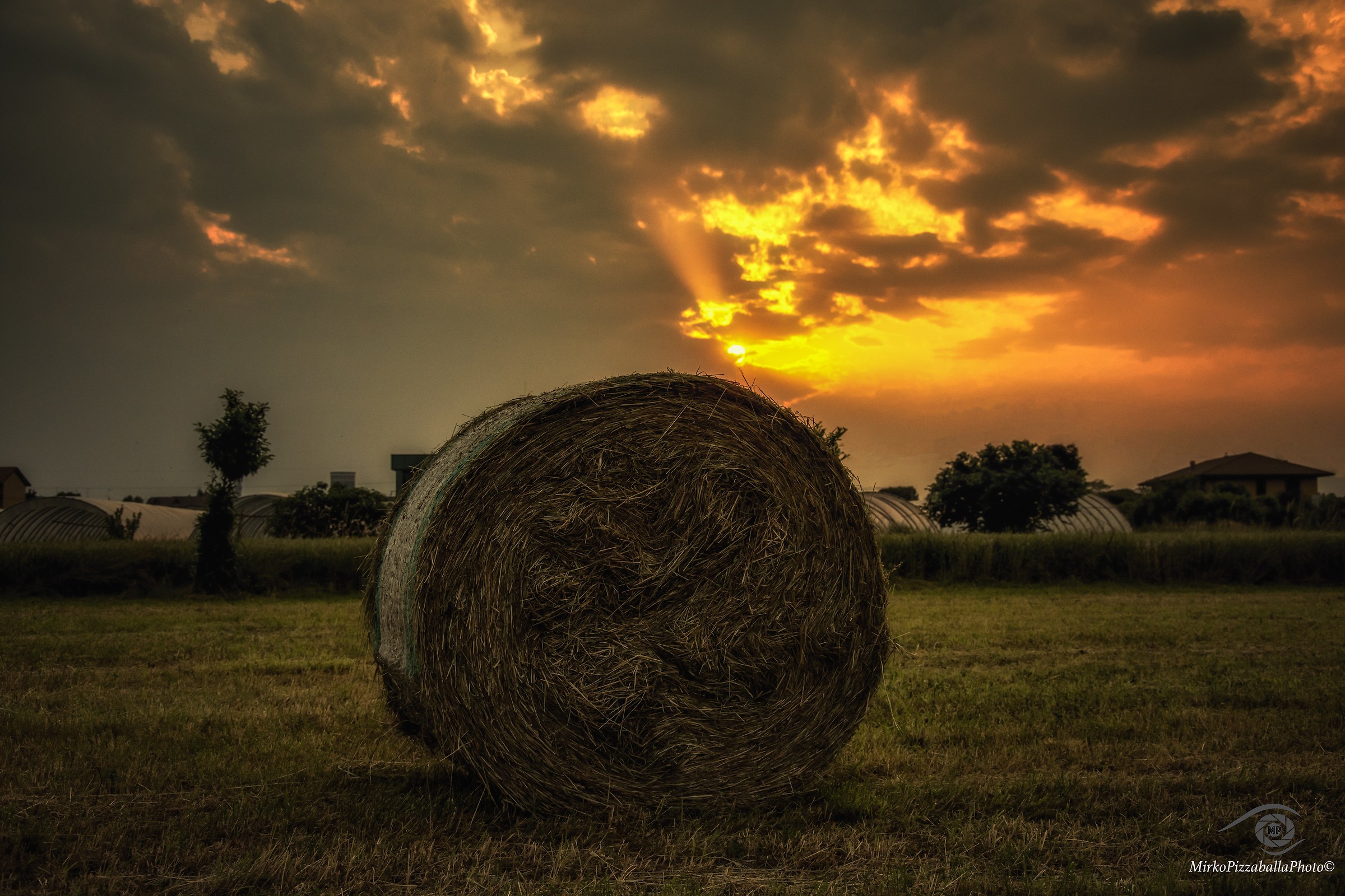 tramonto tra il fieno